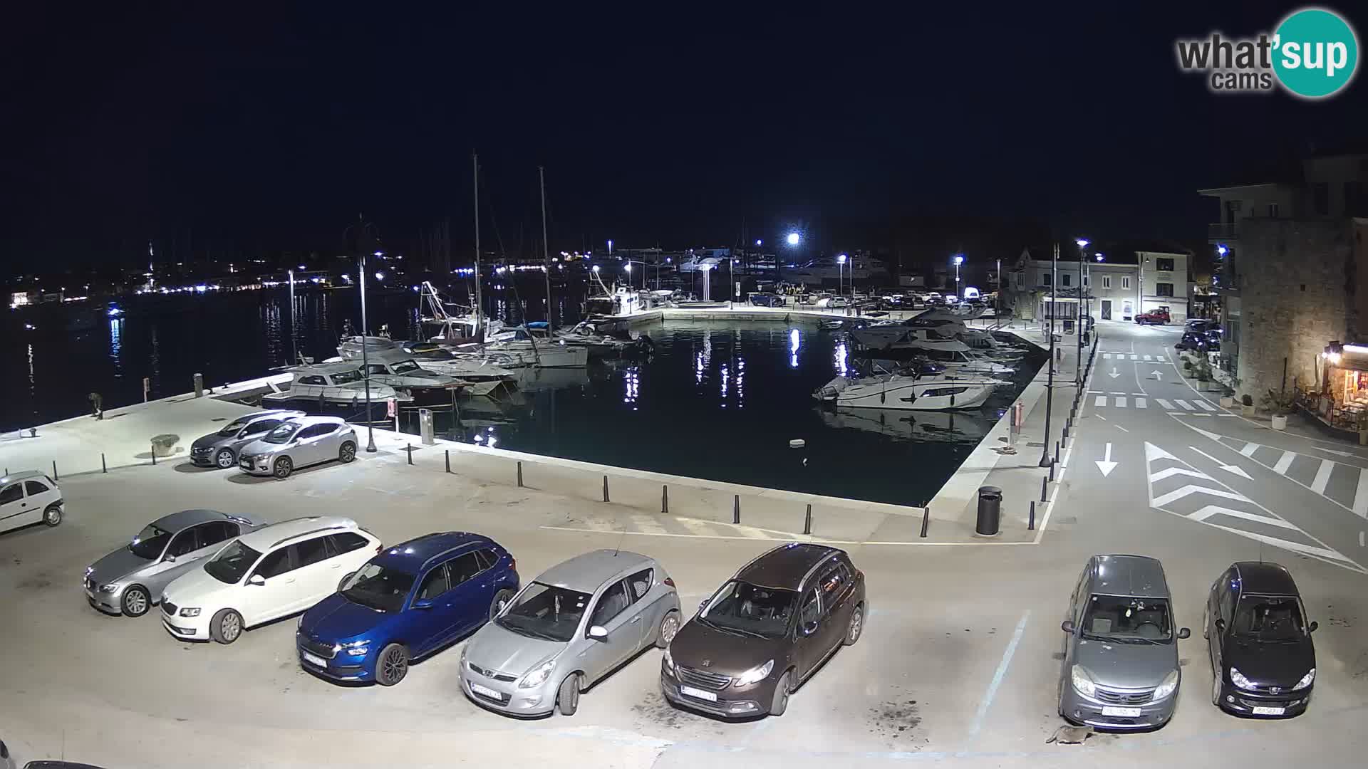 Novigrad | Porporela marina