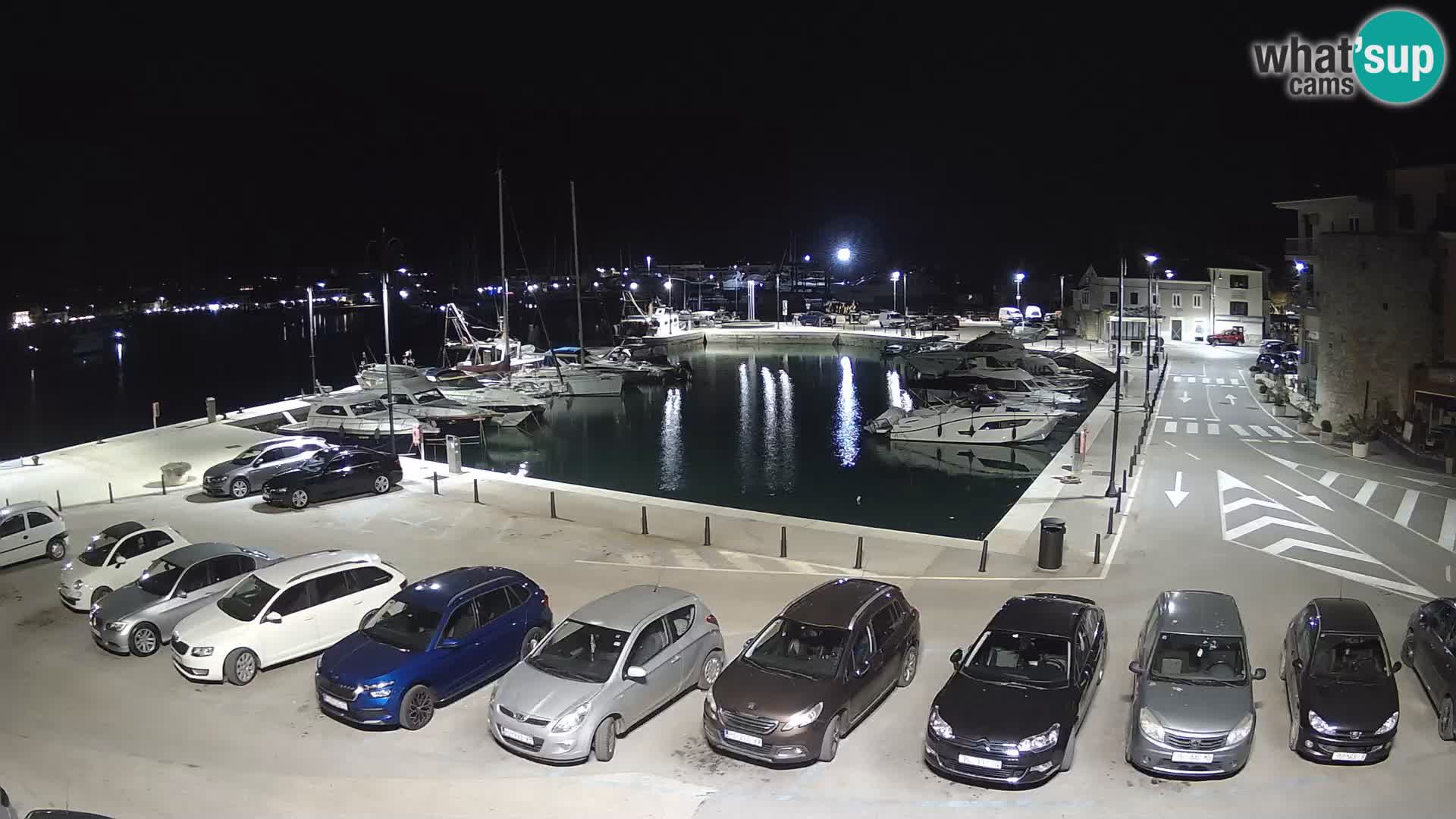 Novigrad | Porporela marina