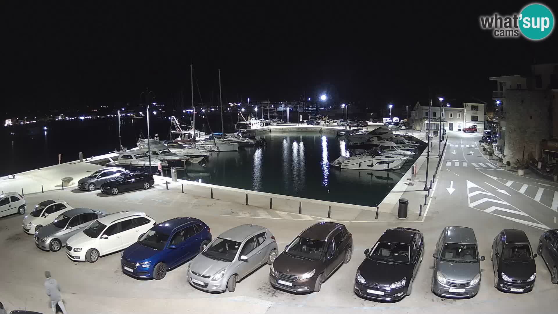 Novigrad | Porporela marina