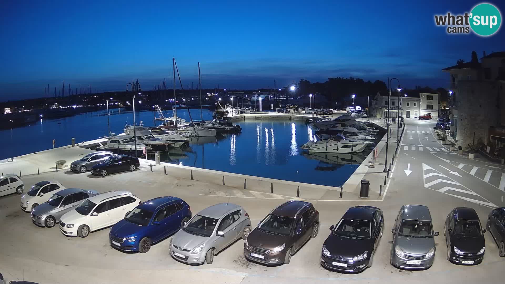 Novigrad | Porporela marina