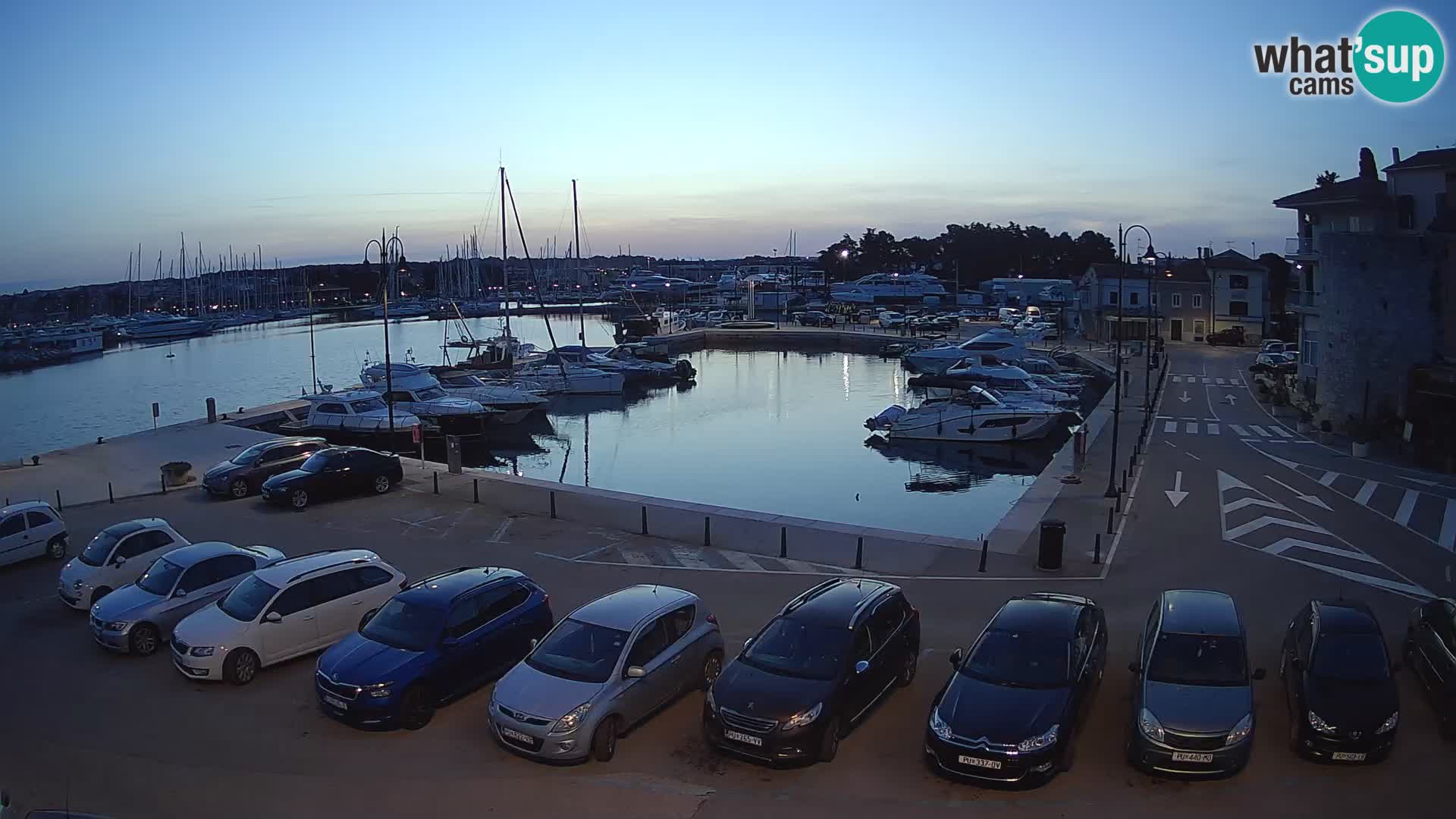 Novigrad | Porporela marina