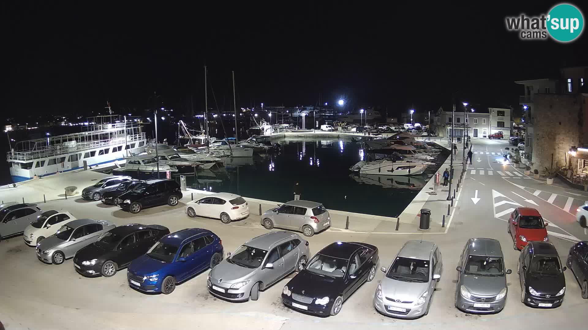 Novigrad | Porporela marina