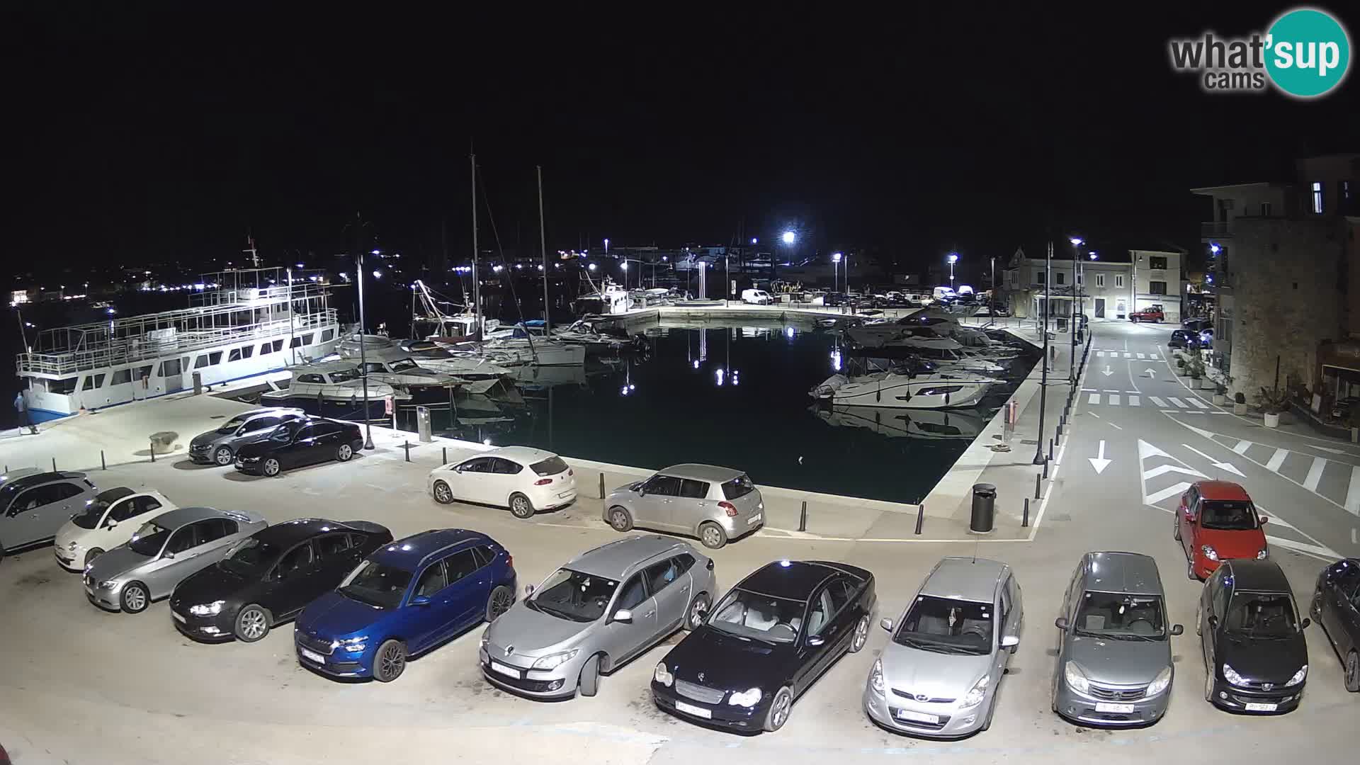 Novigrad | Porporela marina