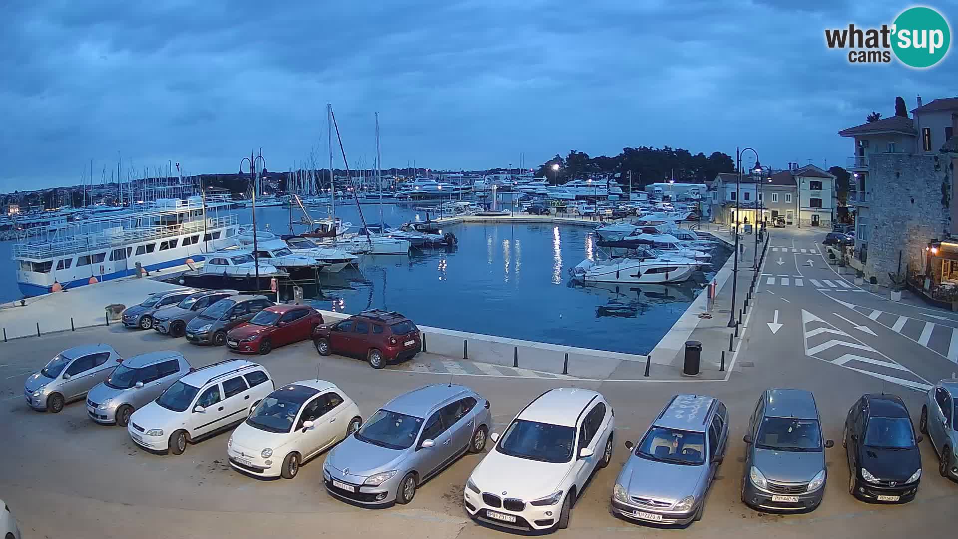 Novigrad | Porporela marina