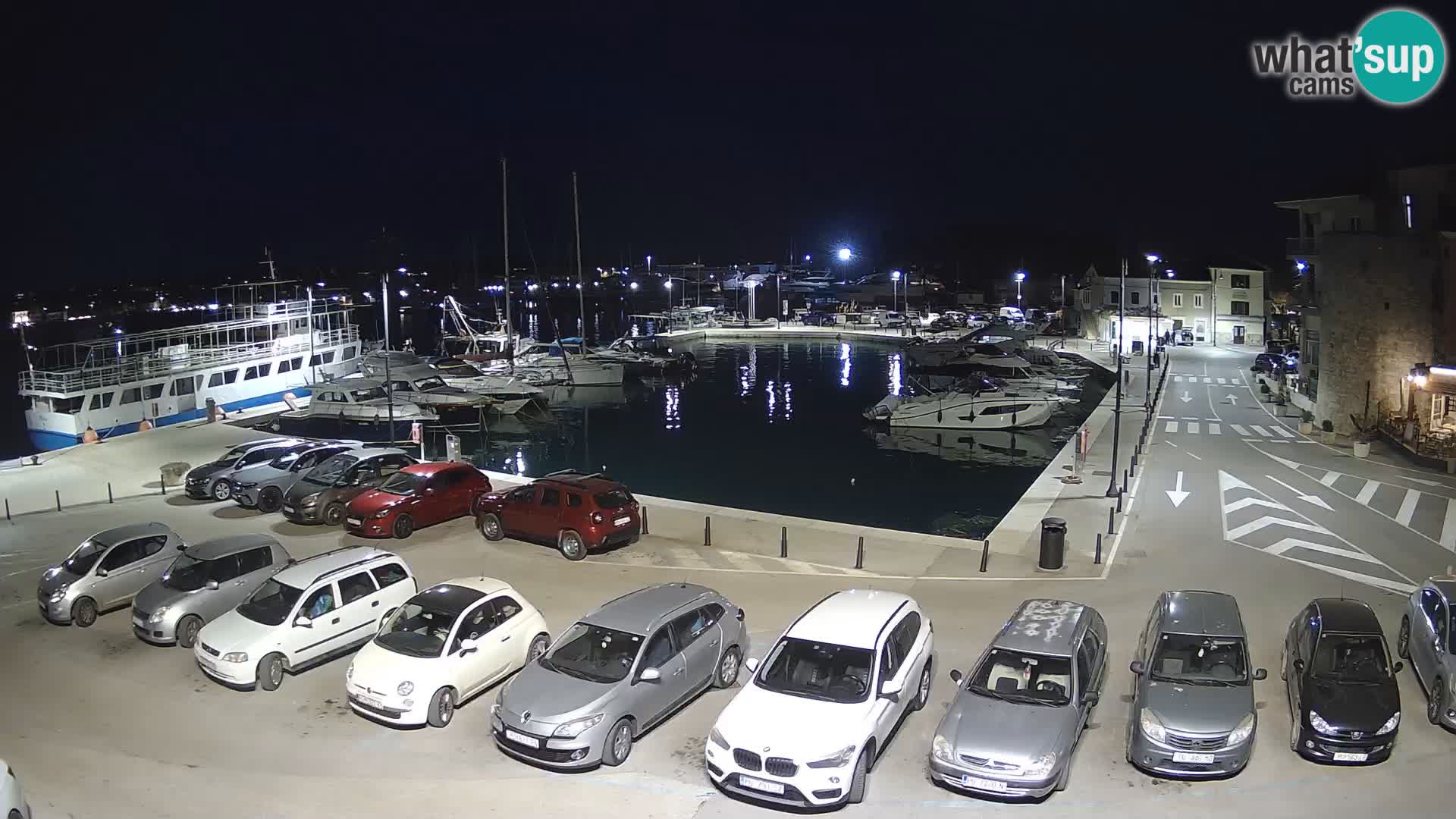 Novigrad | Porporela marina