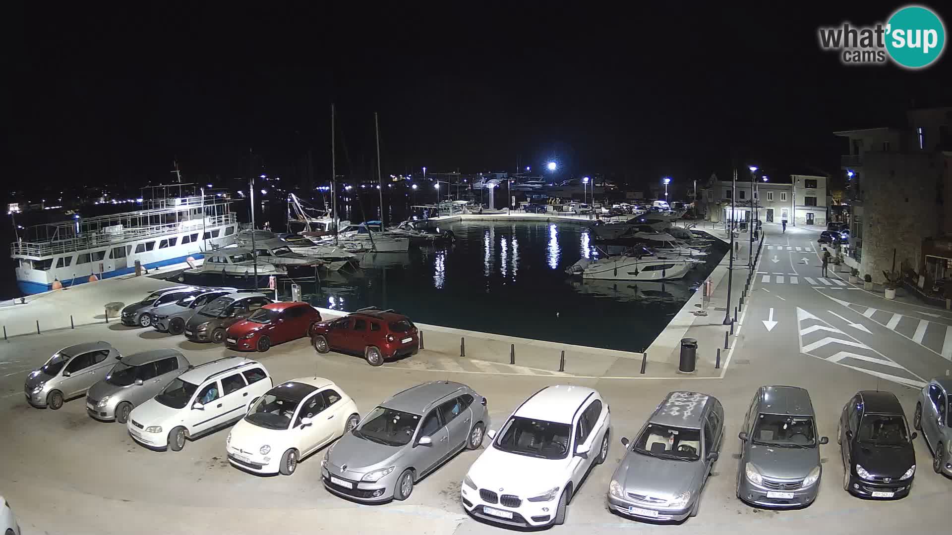 Novigrad | Porporela marina