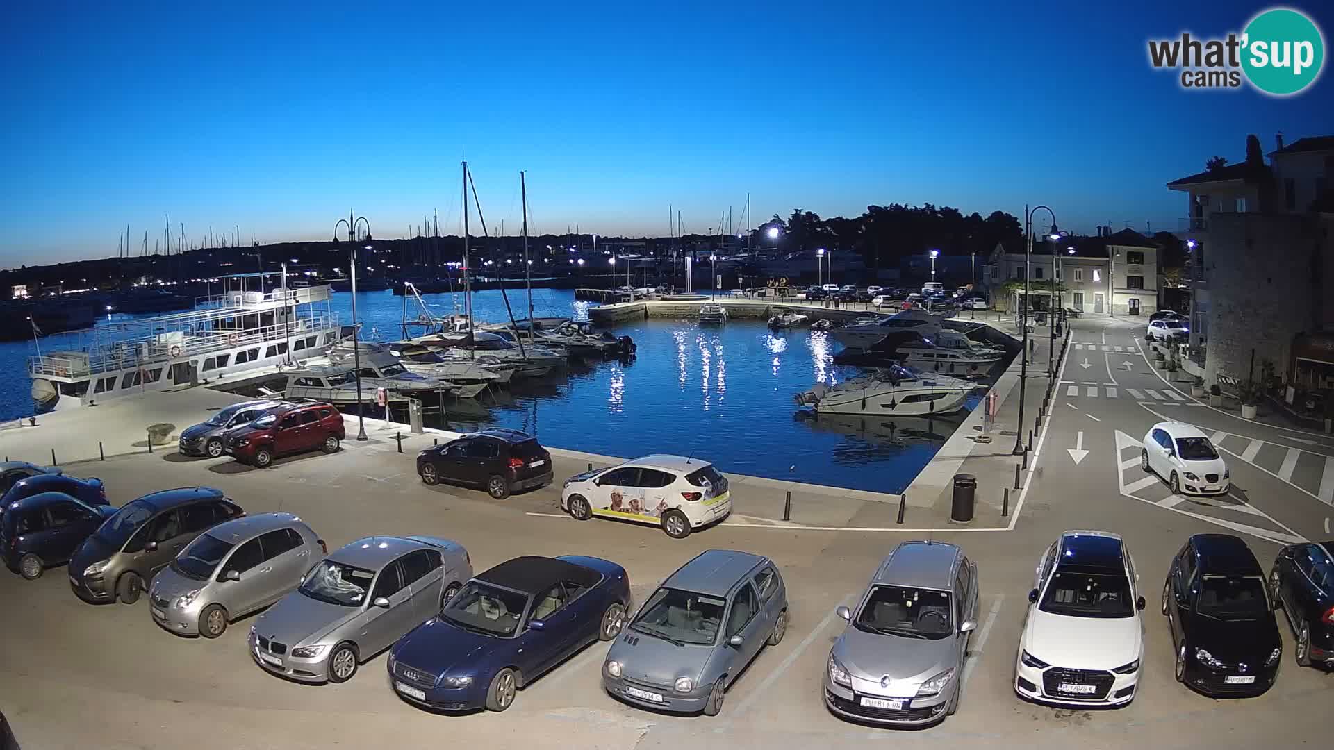 Novigrad | Porporela marina