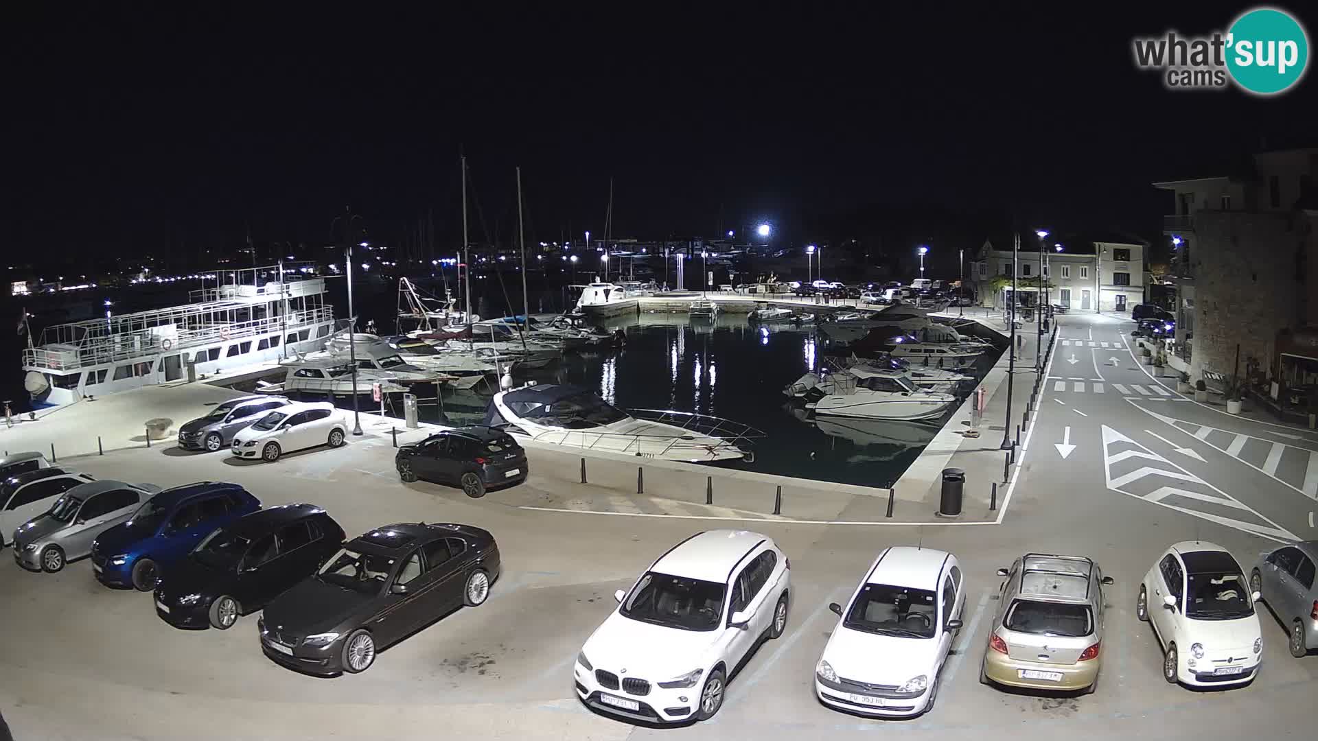 Novigrad | Porporela marina