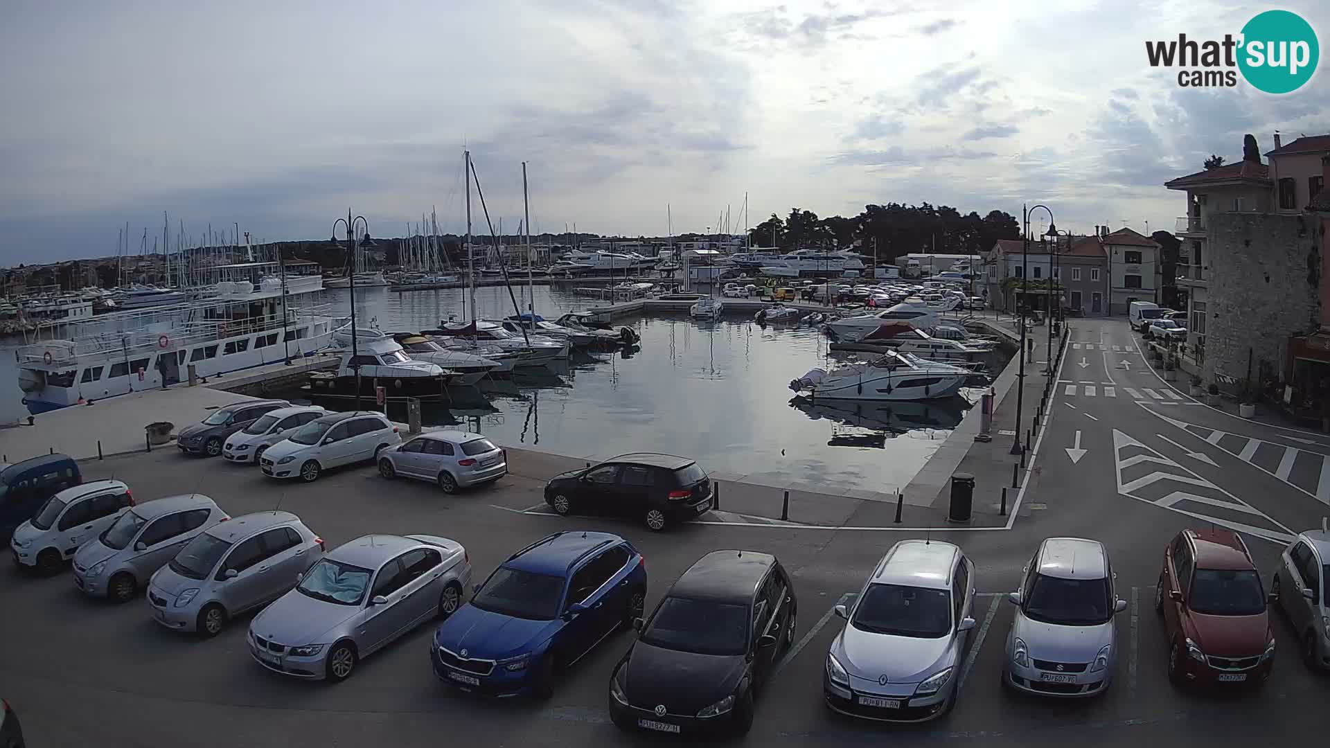 Novigrad | Porporela marina