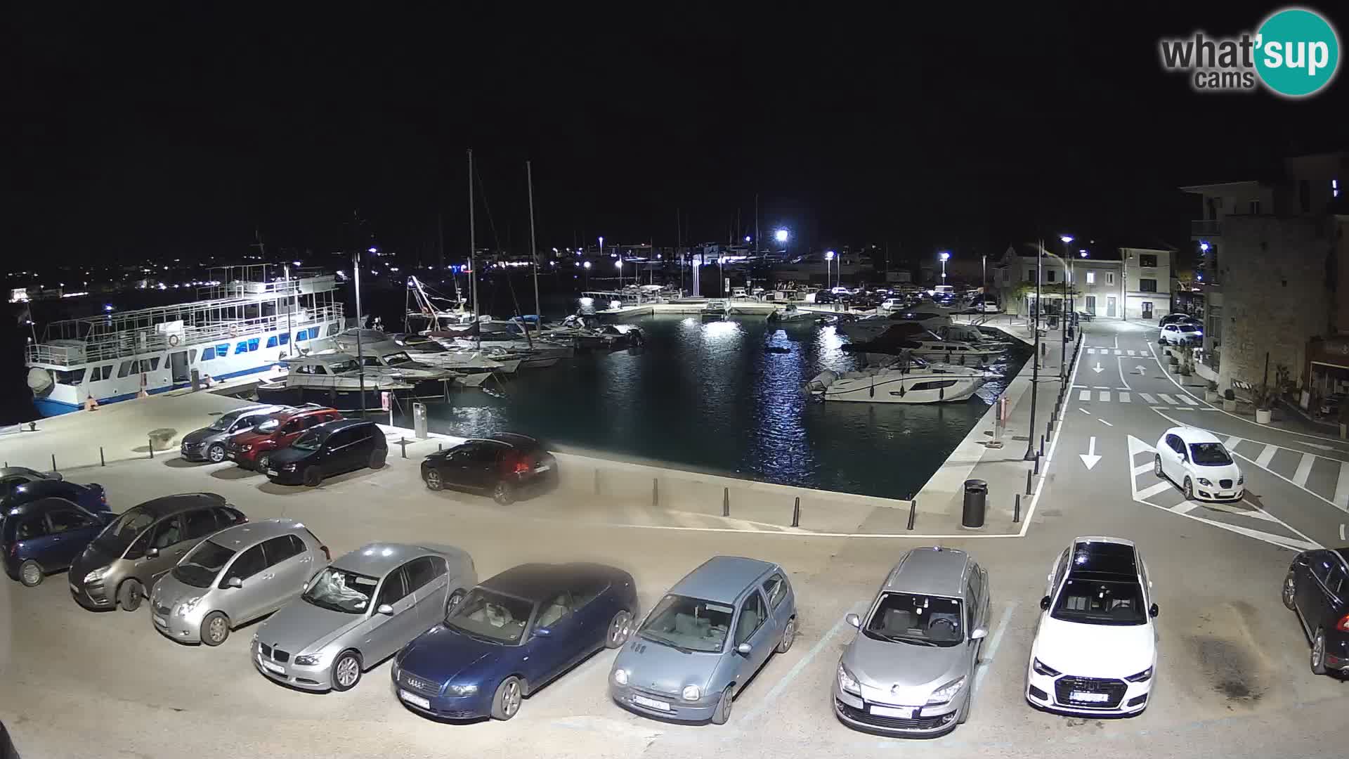 Novigrad | Porporela marina