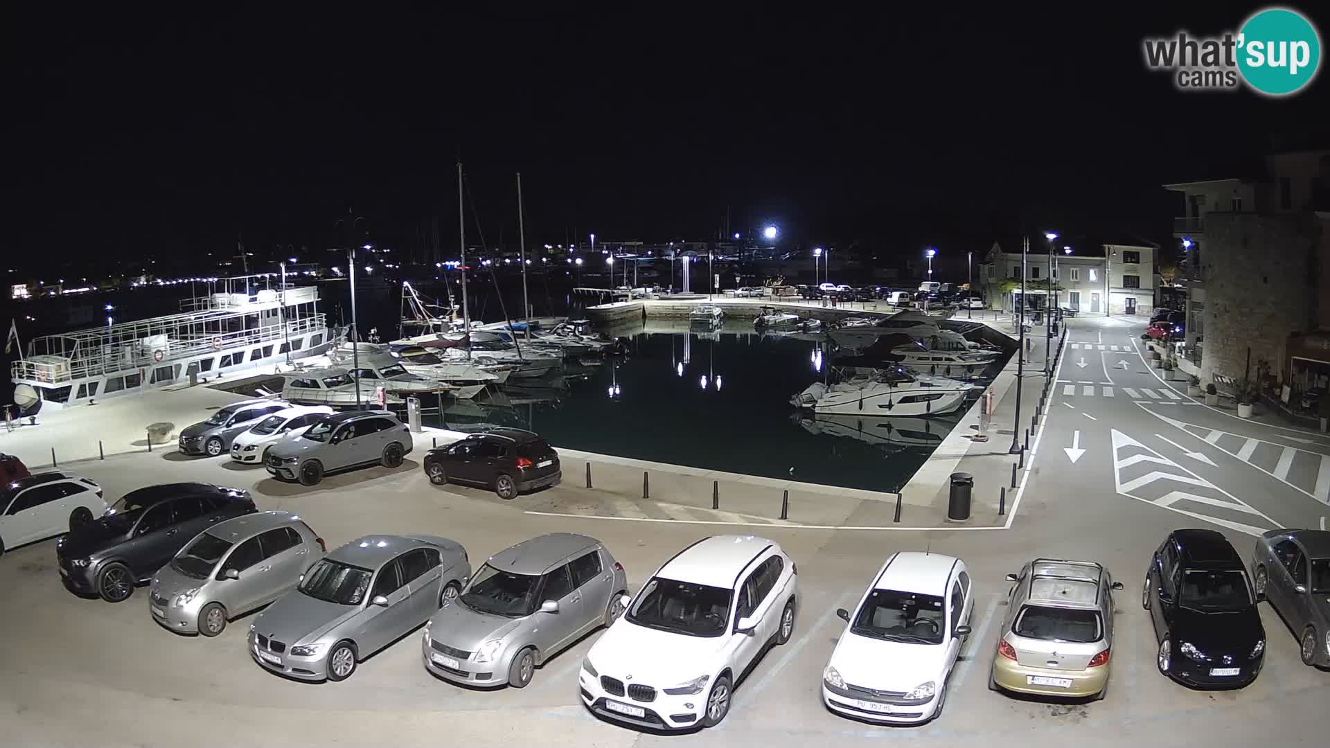 Novigrad | Porporela marina