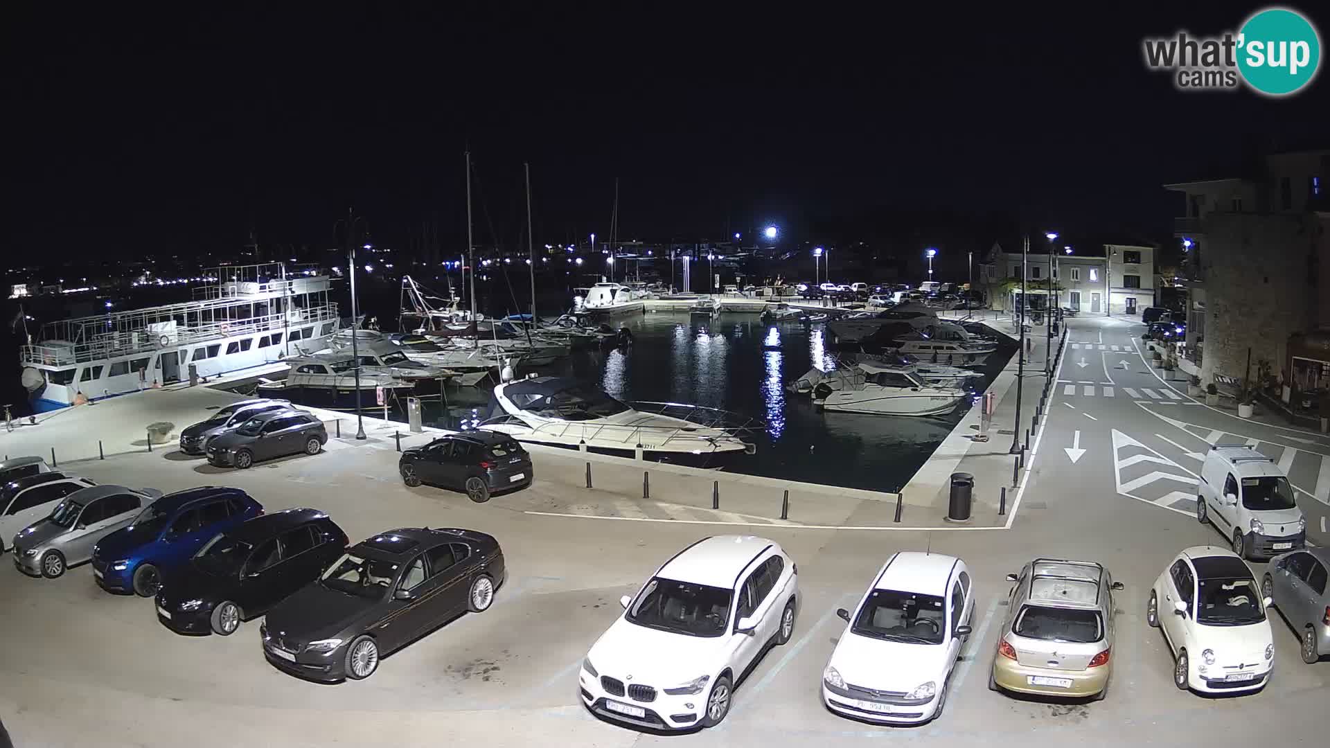 Novigrad | Porporela marina
