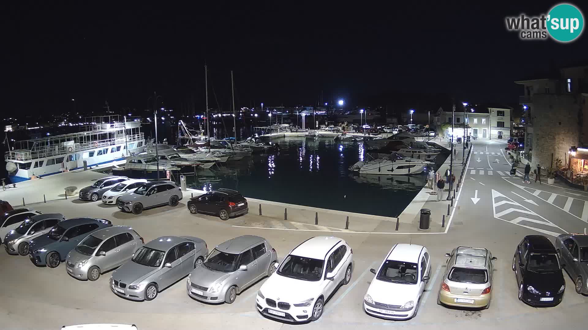 Novigrad | Porporela marina