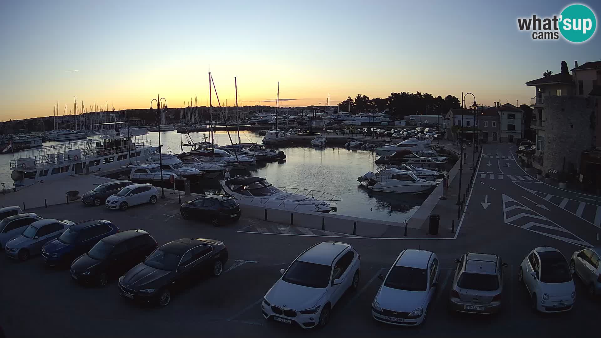 Novigrad | Porporela marina