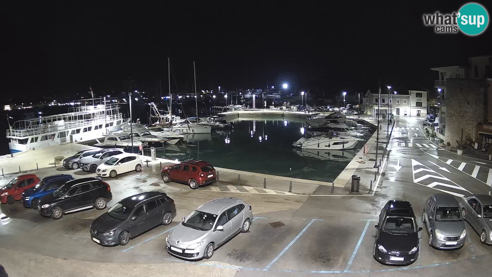 Novigrad | Porporela marina