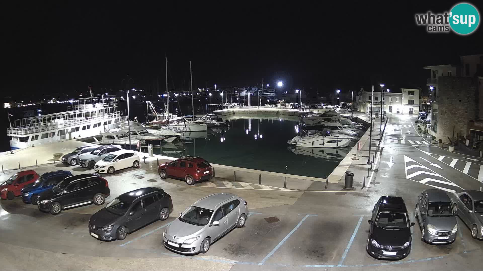 Novigrad | Porporela marina