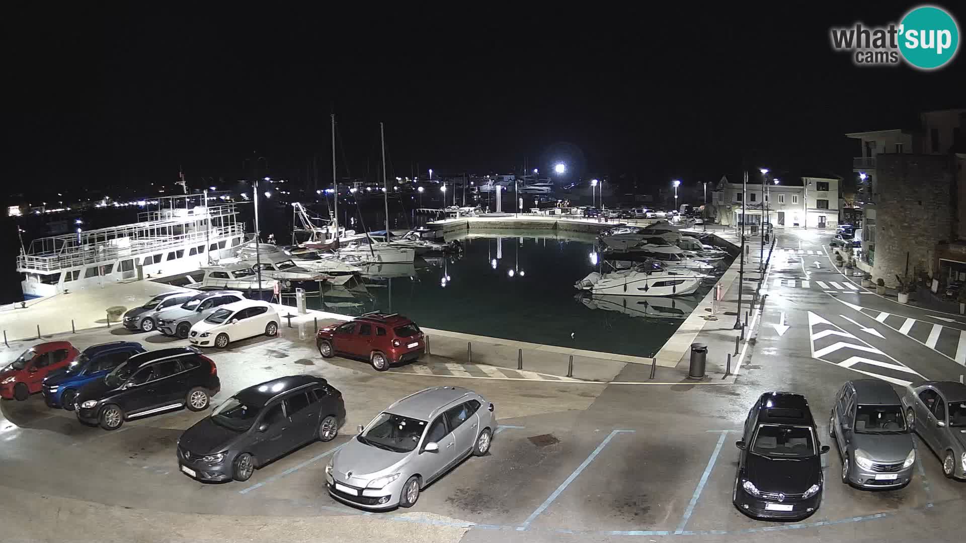 Novigrad | Porporela marina