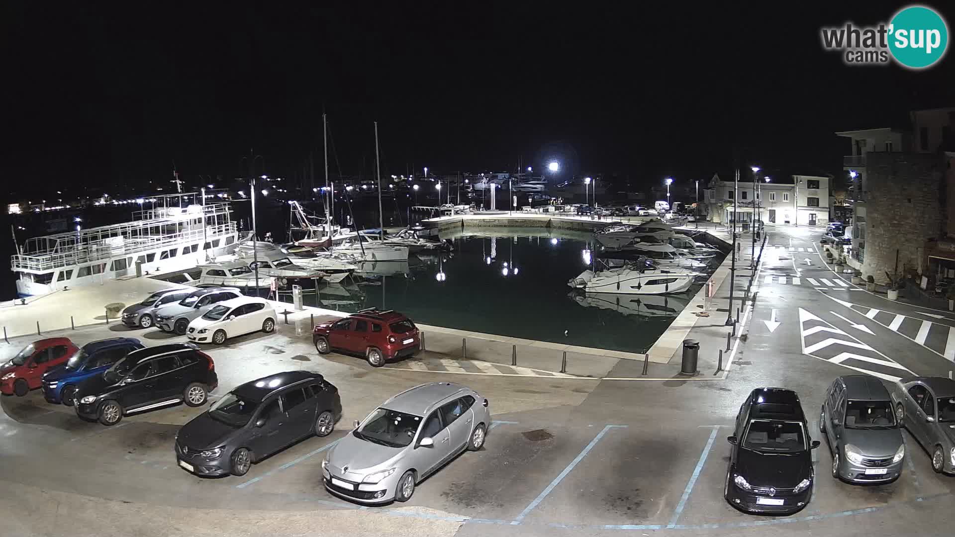 Novigrad | Porporela marina