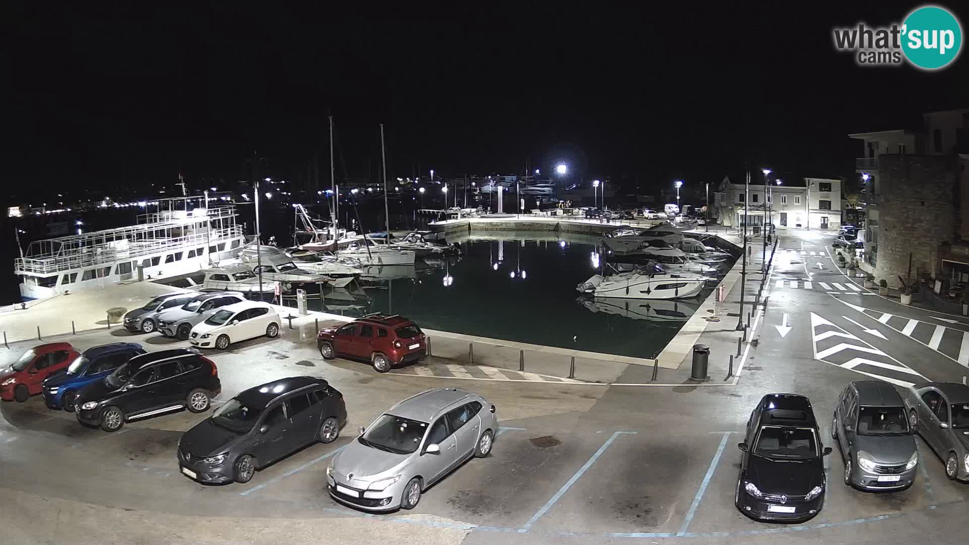 Novigrad | Porporela marina