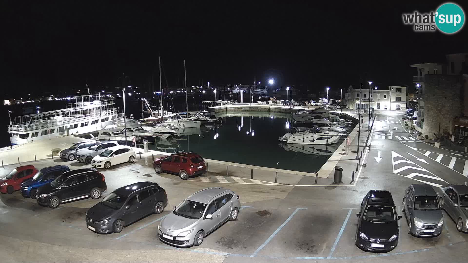 Novigrad | Porporela marina