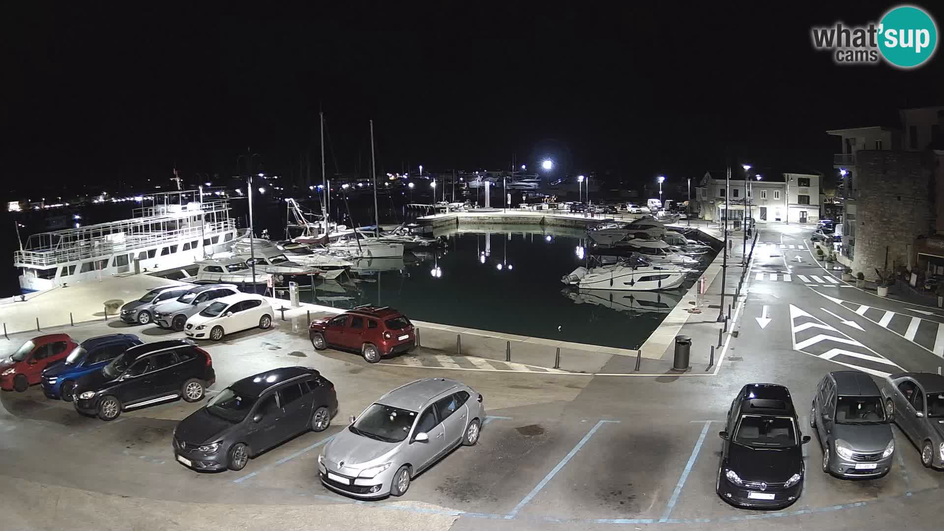 Novigrad | Porporela marina