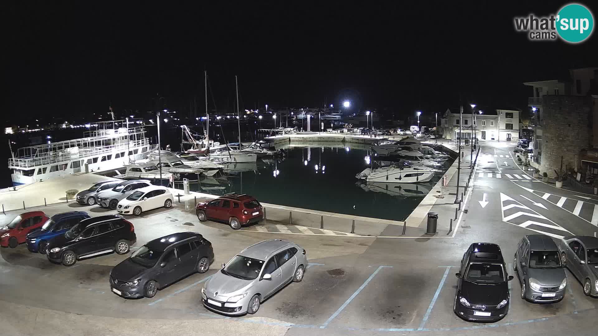 Novigrad | Porporela marina