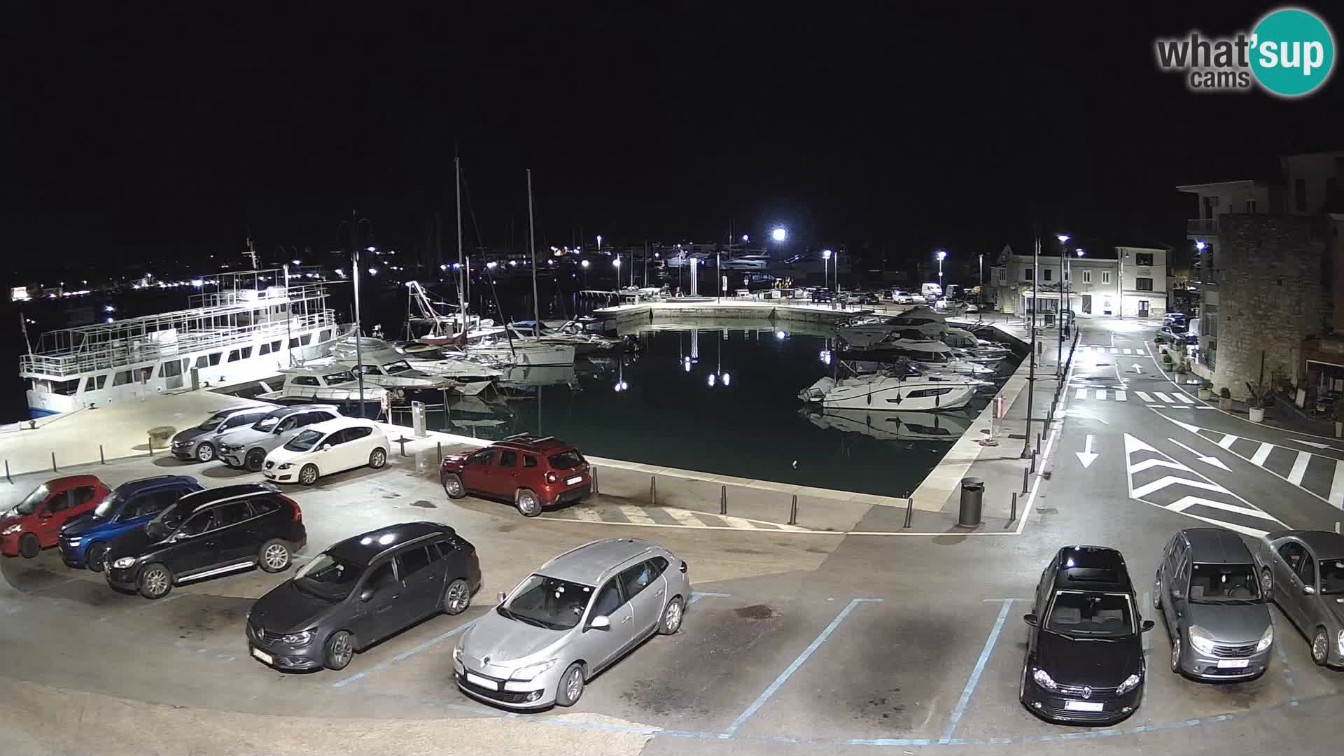 Novigrad | Porporela marina