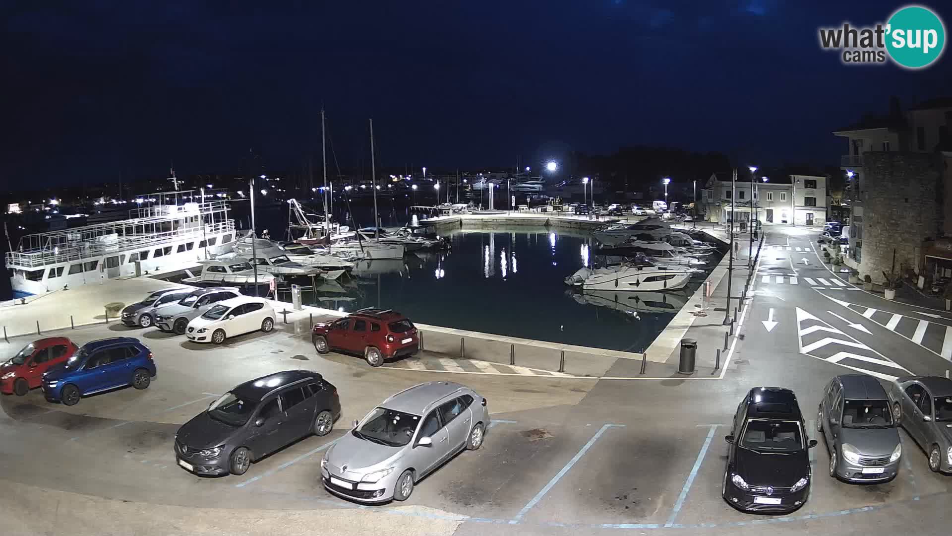 Novigrad | Porporela marina