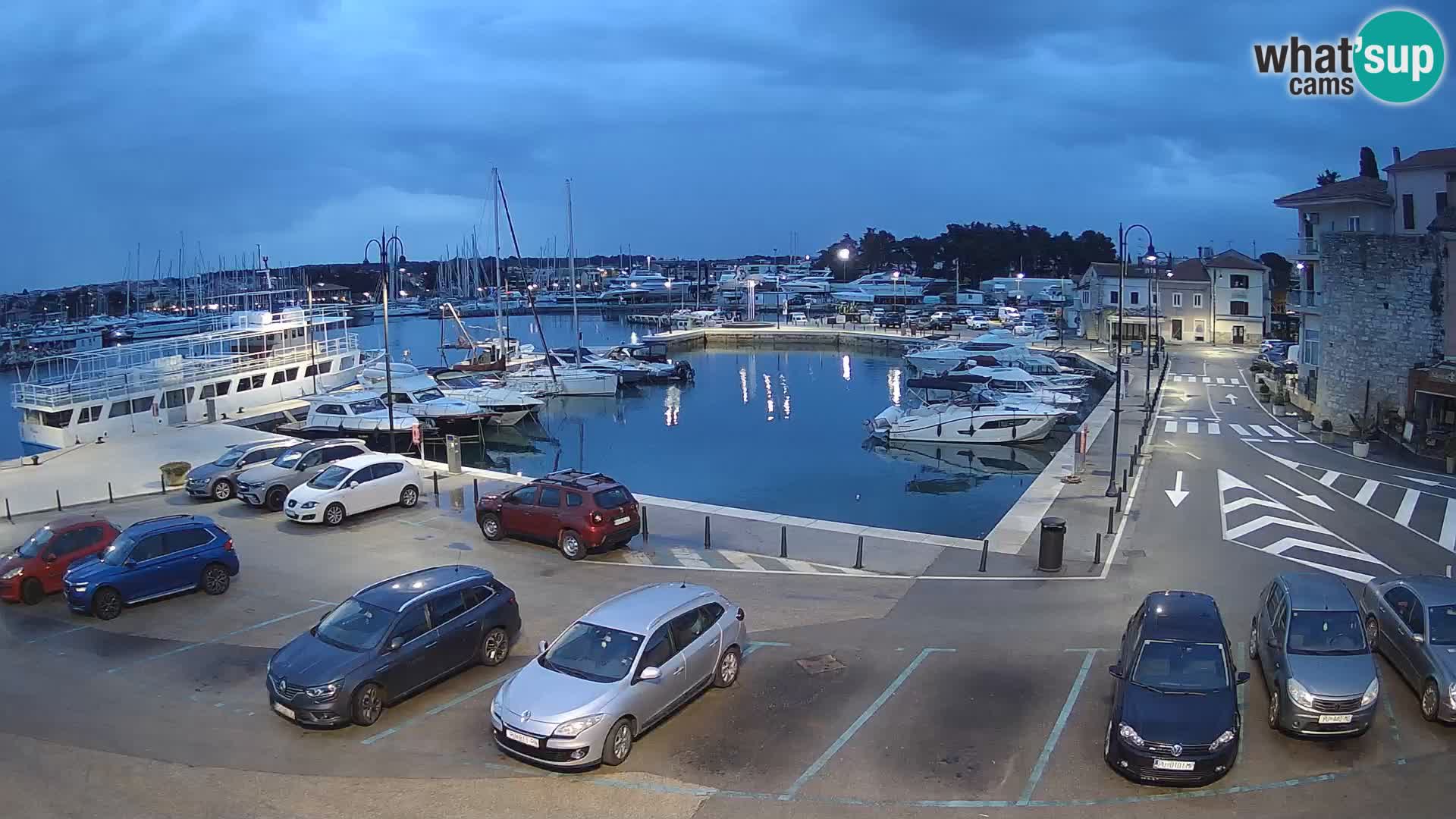 Novigrad | Porporela marina