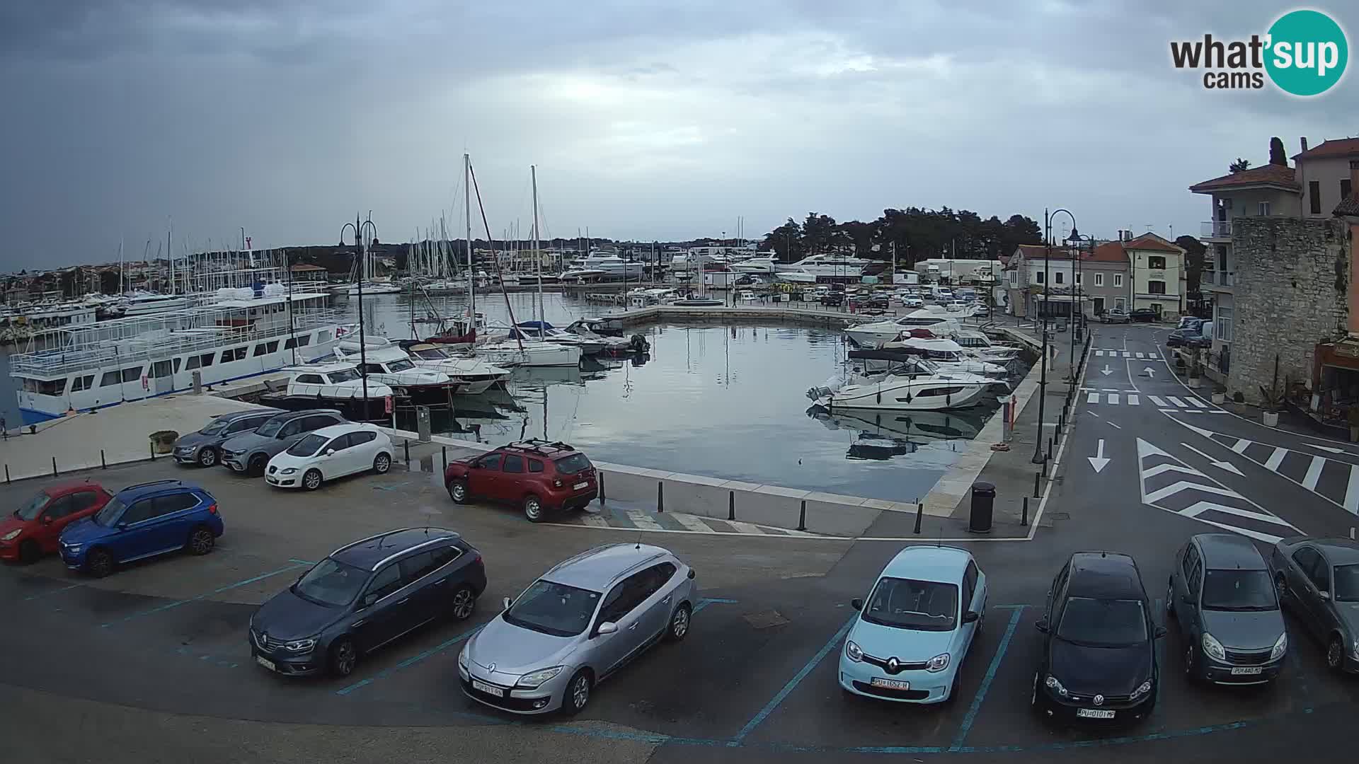 Novigrad | Porporela marina