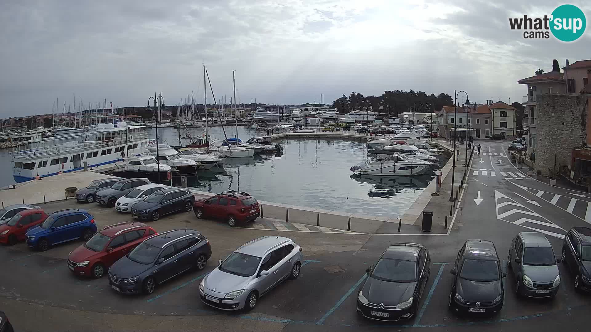 Novigrad | Porporela marina