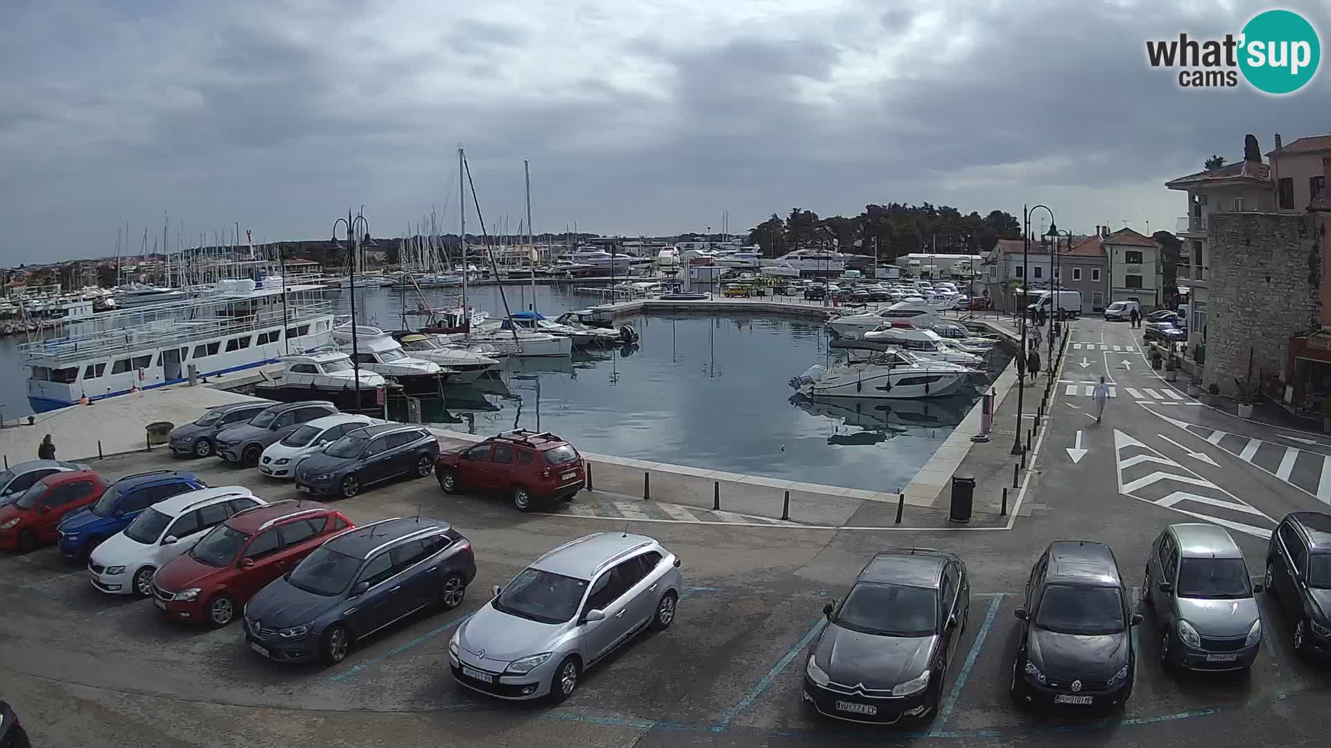 Novigrad | Porporela marina