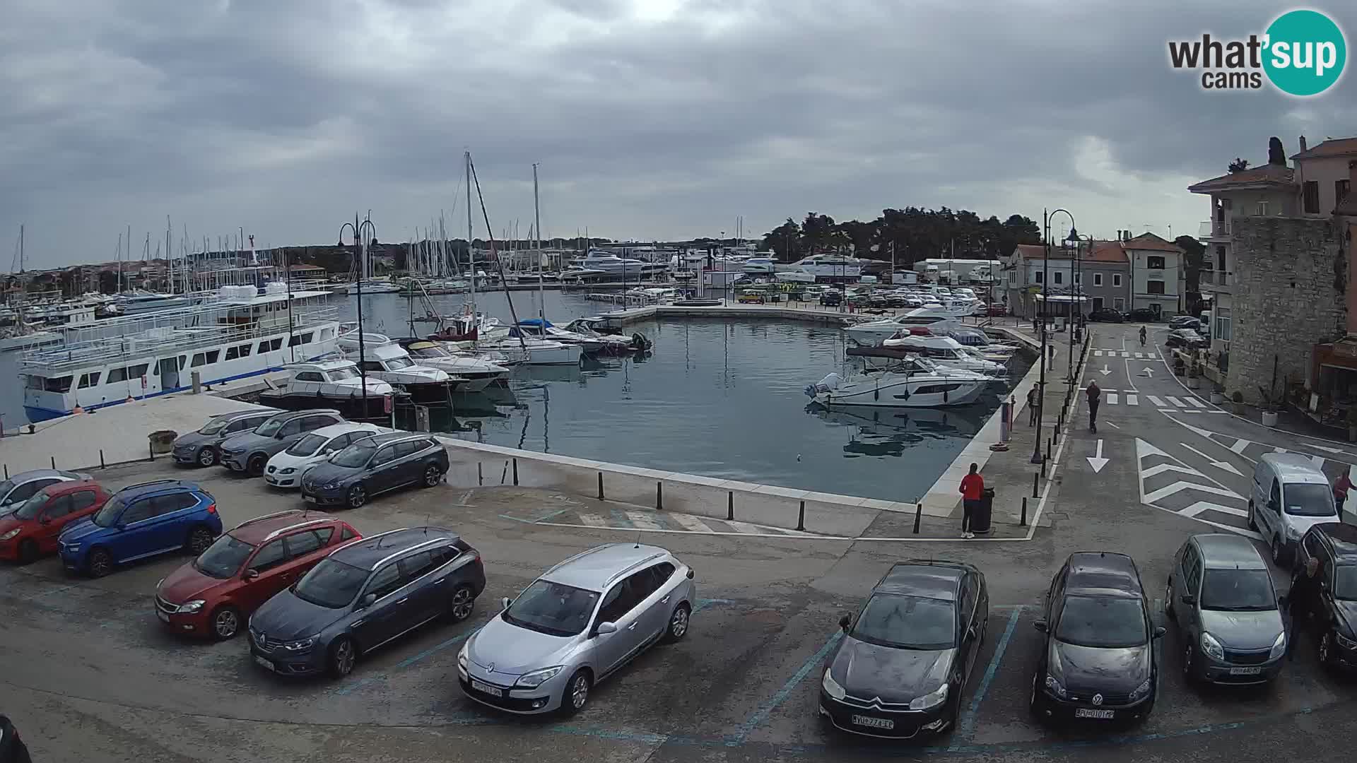 Novigrad | Porporela marina