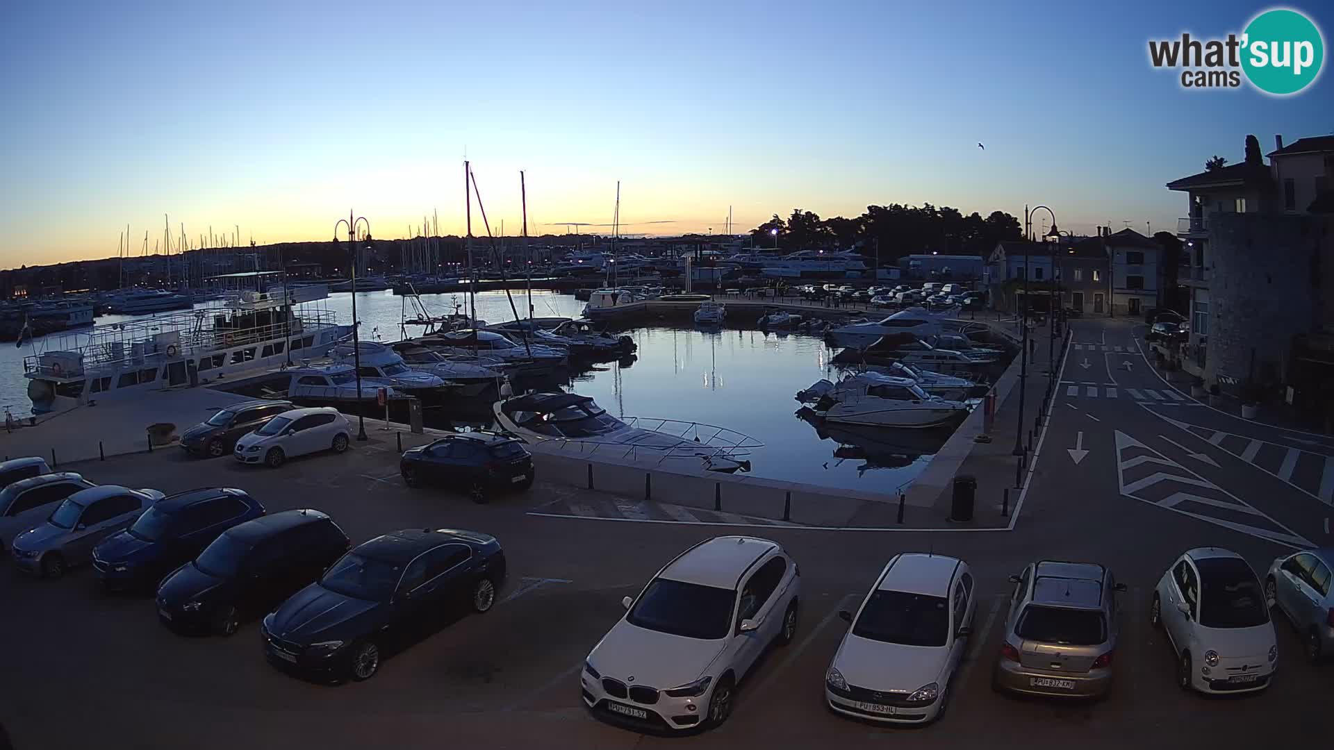Novigrad | Porporela marina