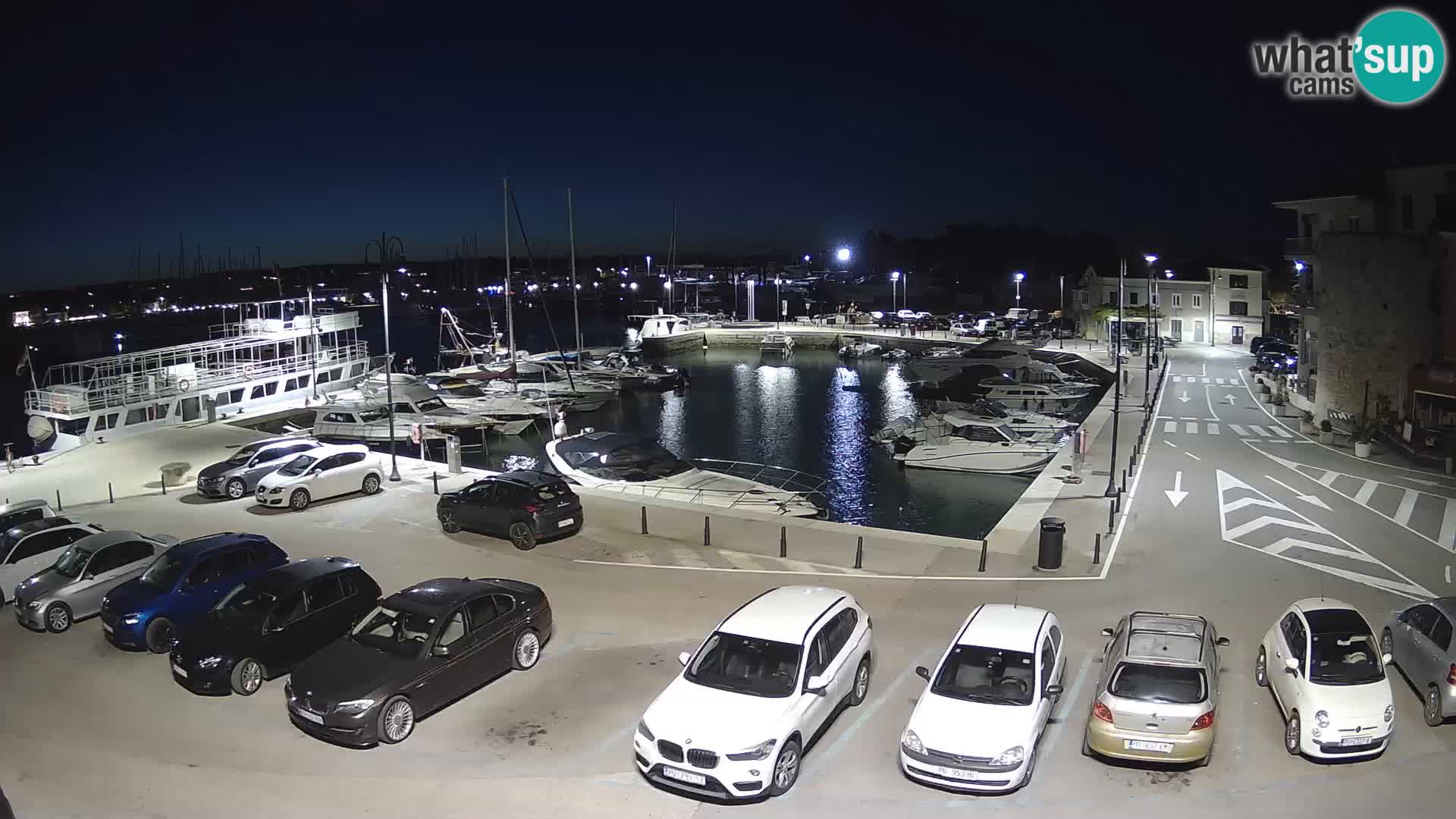 Novigrad | Porporela marina
