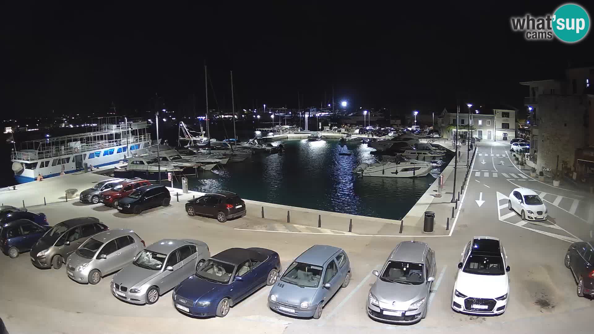 Novigrad | Porporela marina