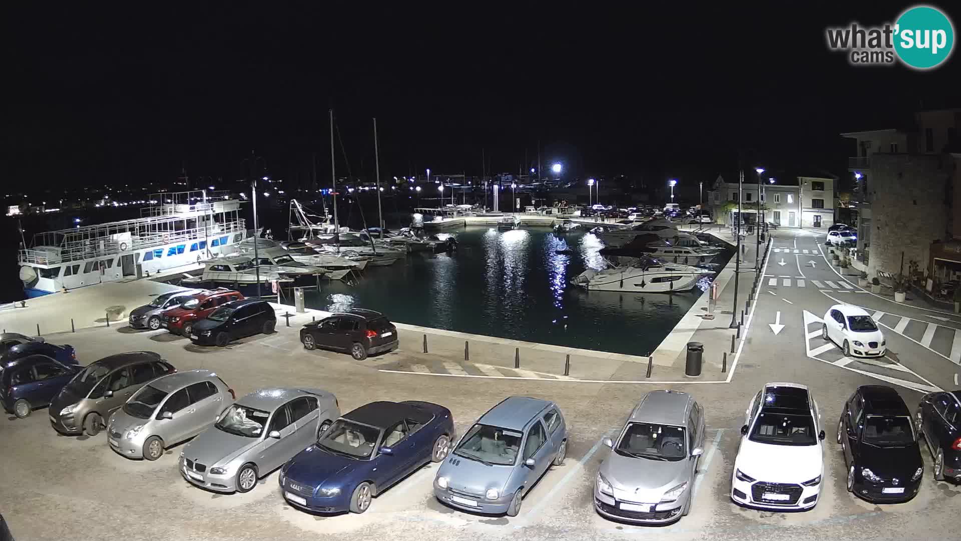 Novigrad | Porporela marina