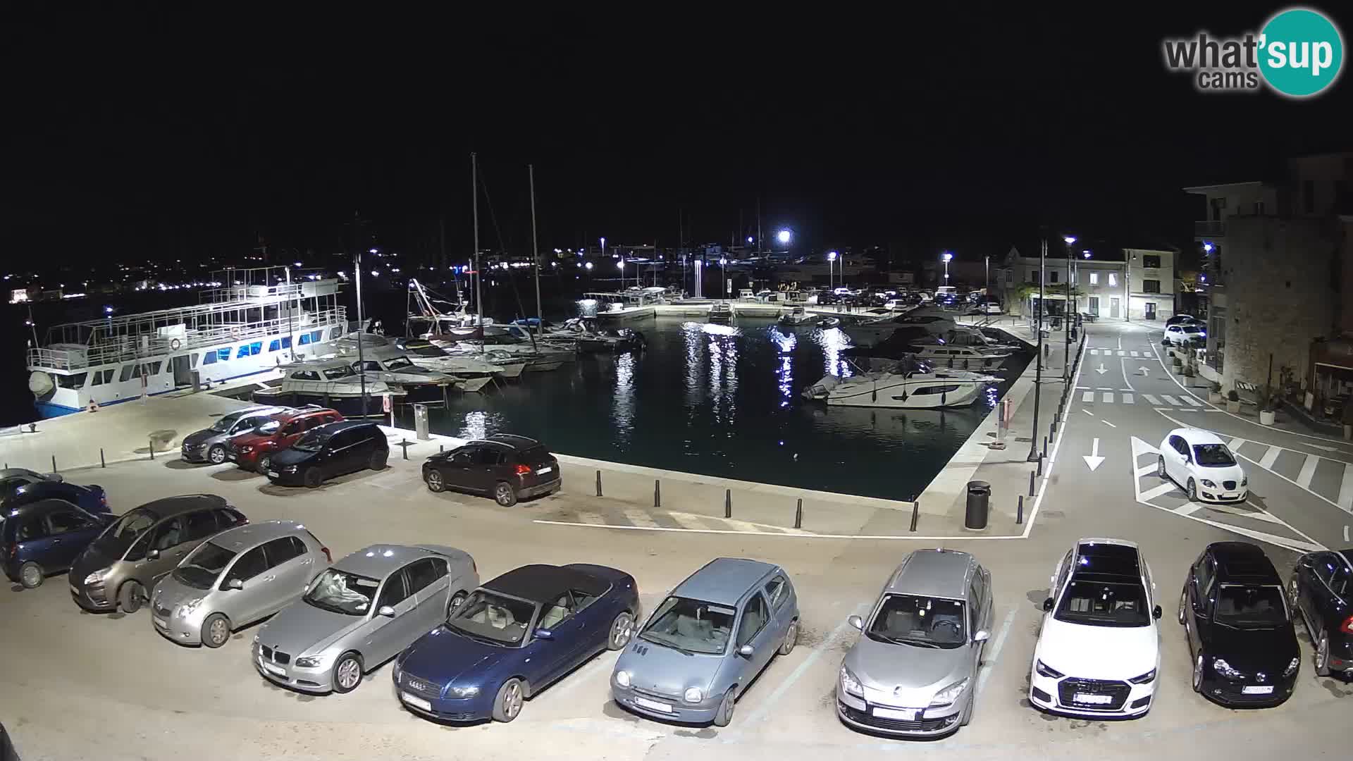 Novigrad | Porporela marina