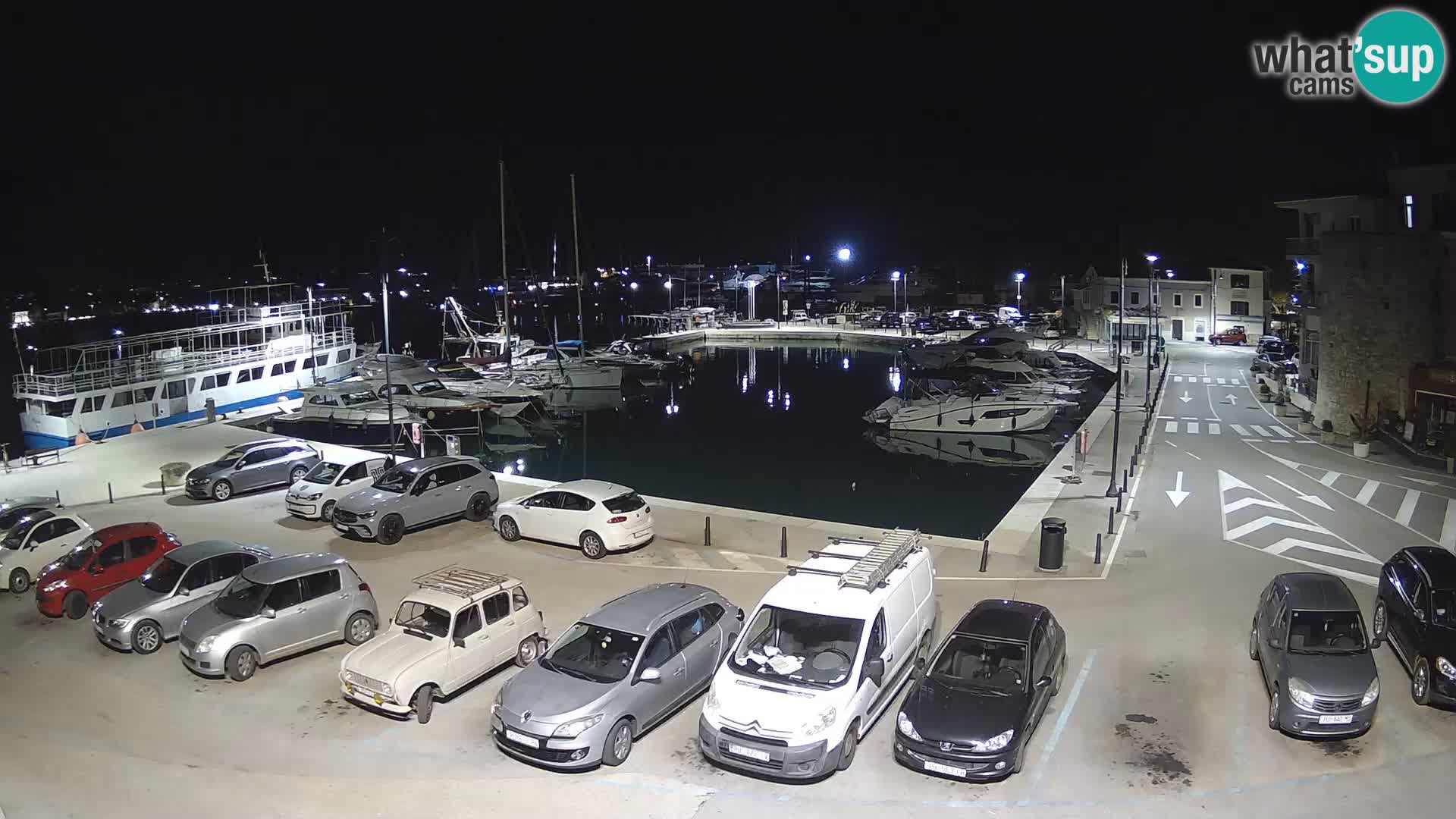 Novigrad | Porporela marina