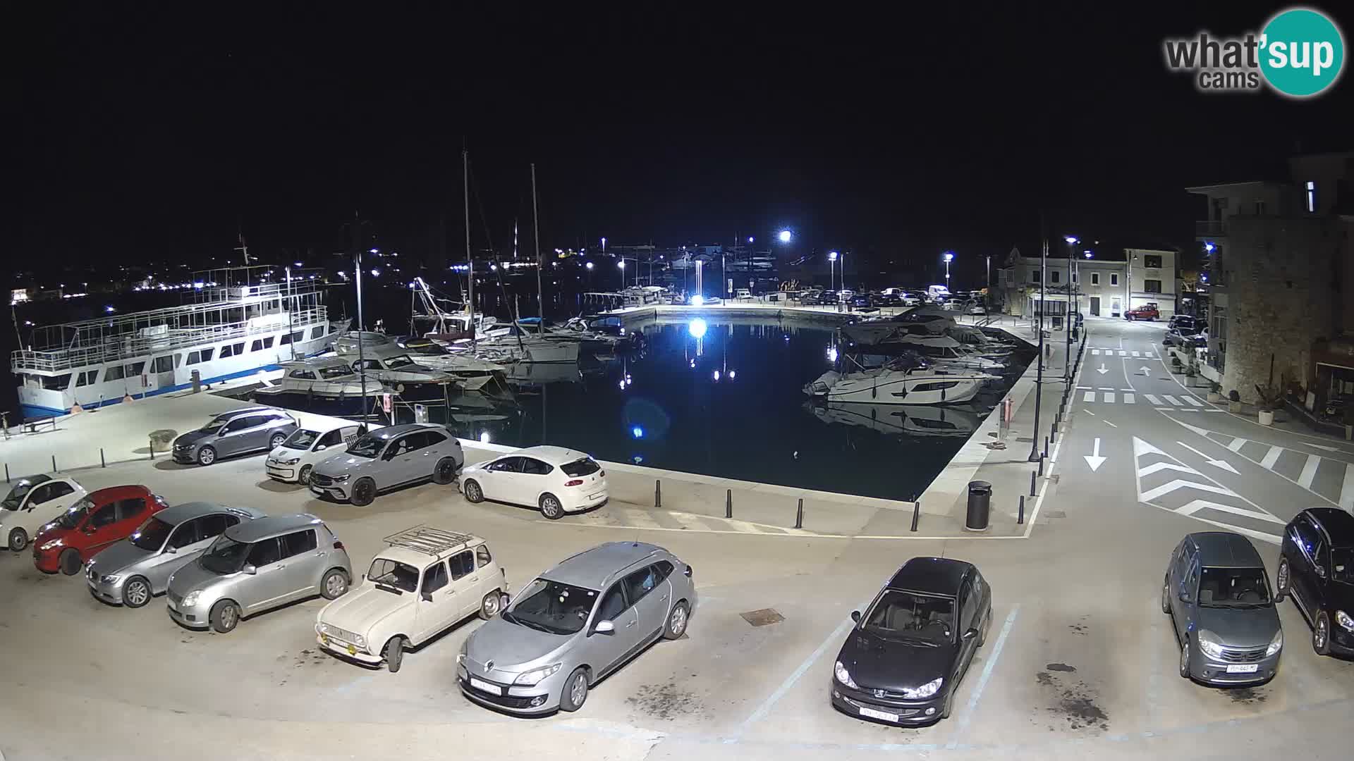 Novigrad | Porporela marina