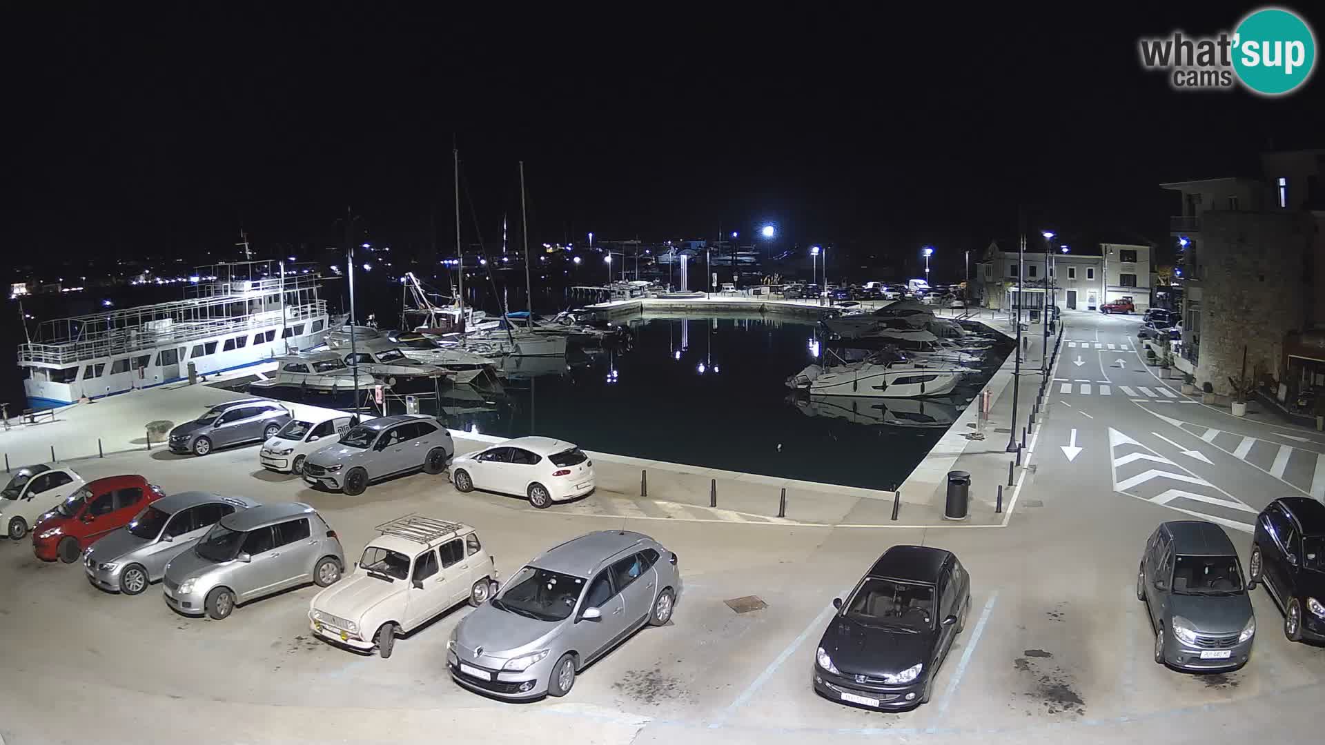 Novigrad | Porporela marina