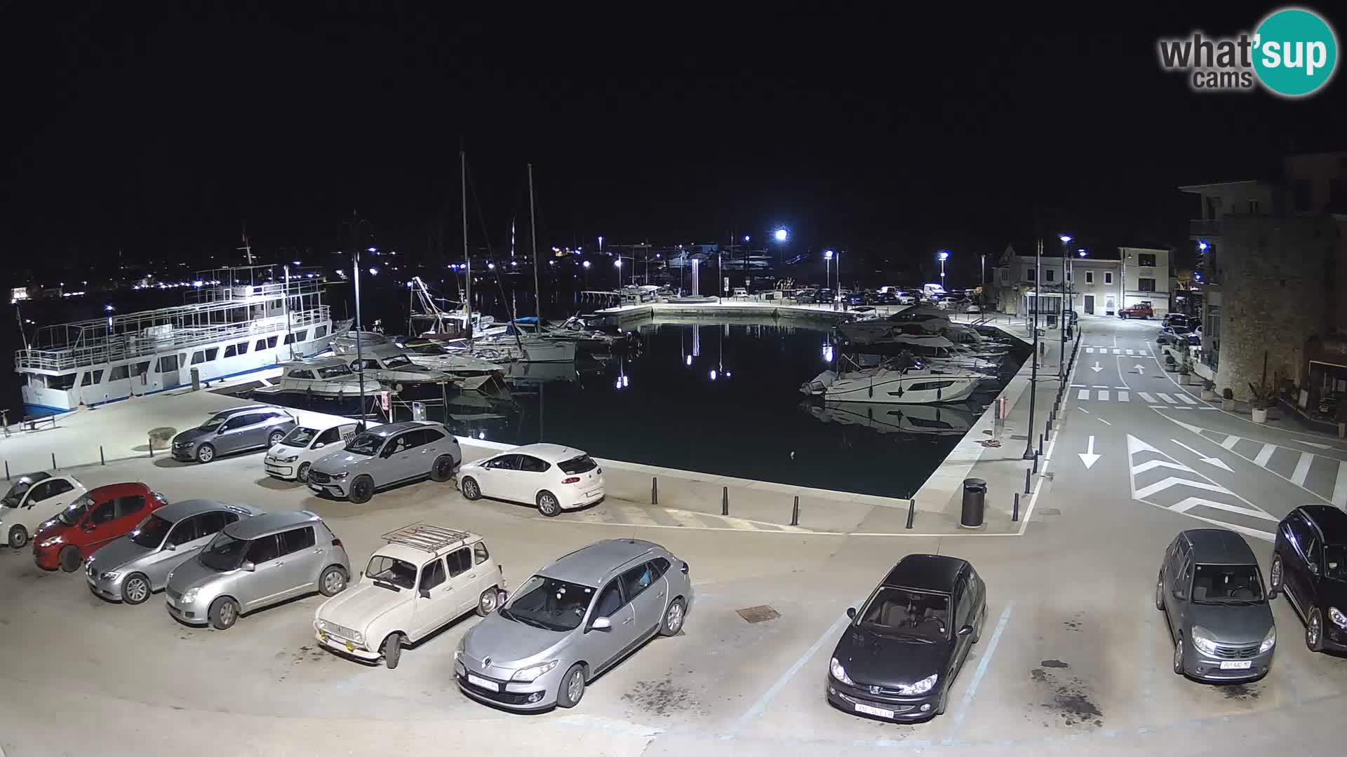 Novigrad | Porporela marina