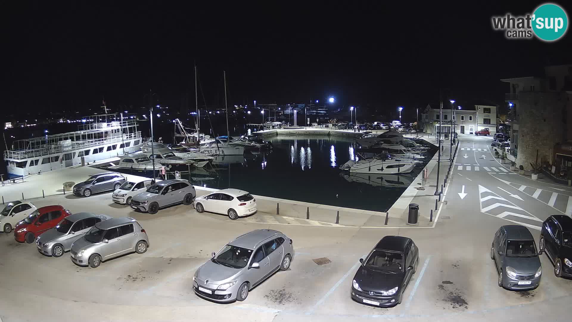 Novigrad | Porporela marina