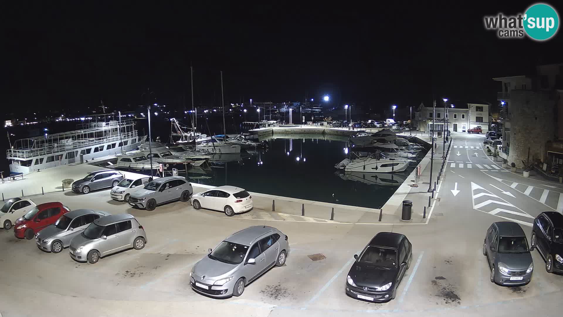 Novigrad | Porporela marina