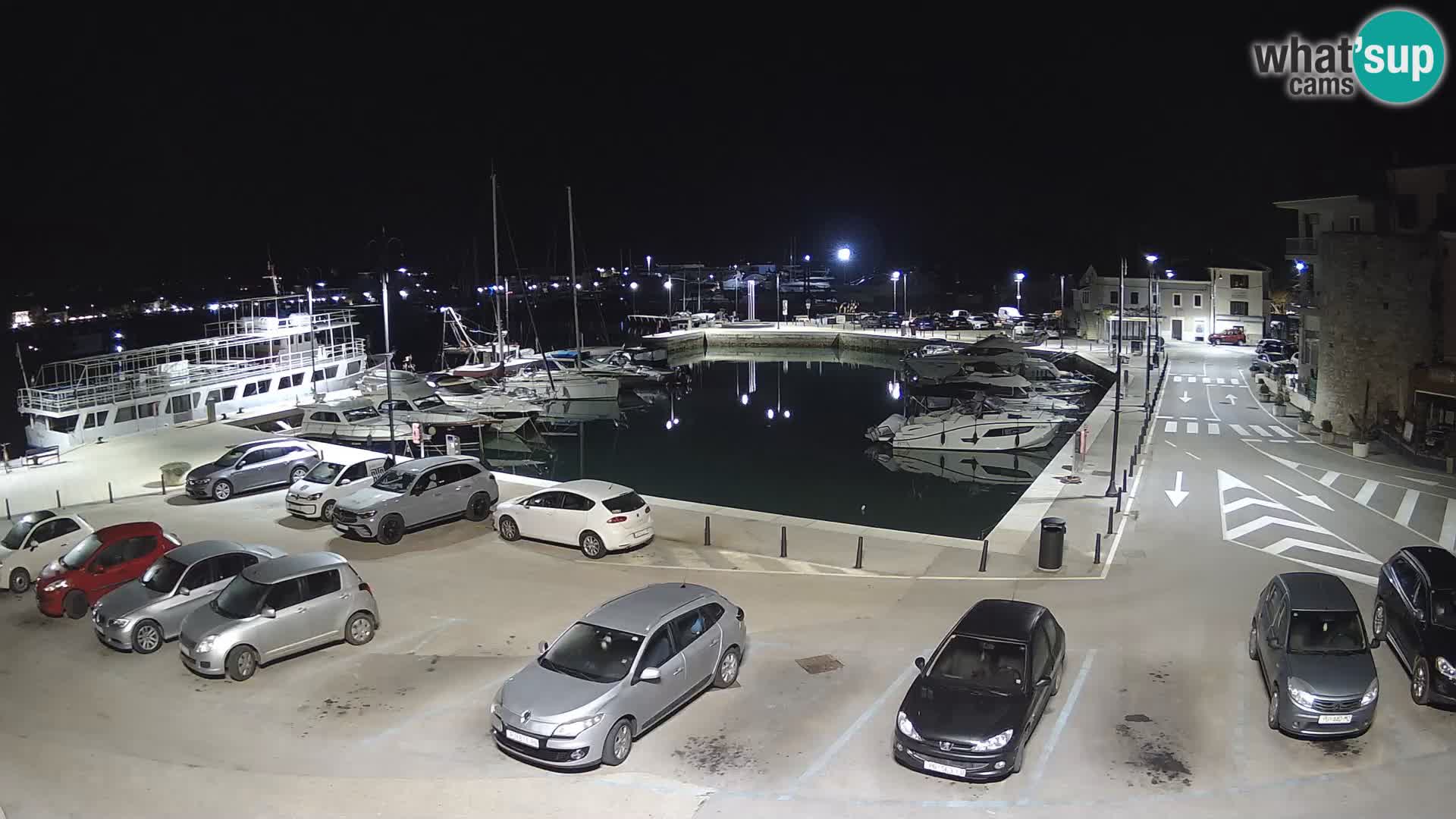Novigrad | Porporela marina