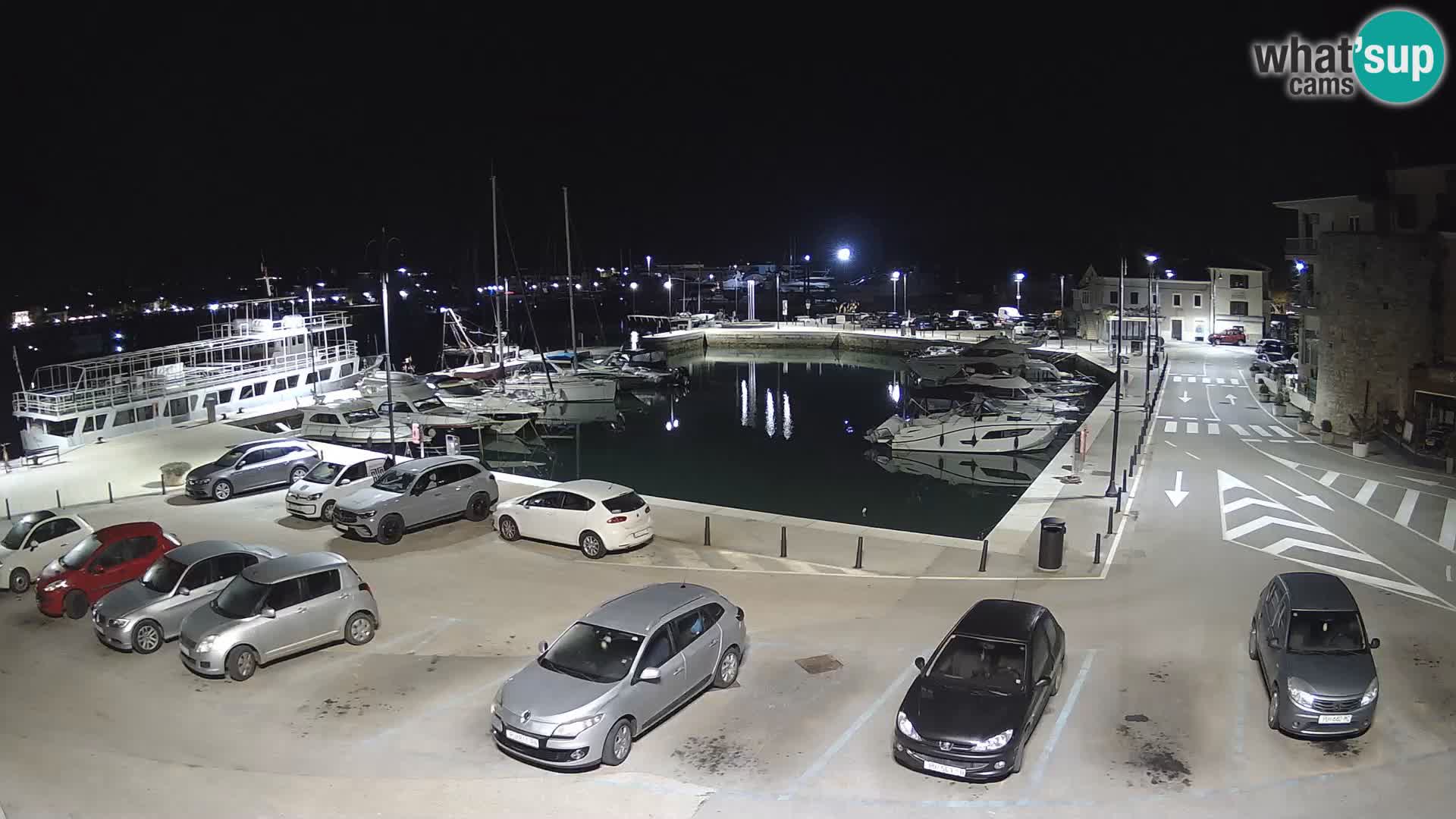 Novigrad | Porporela marina
