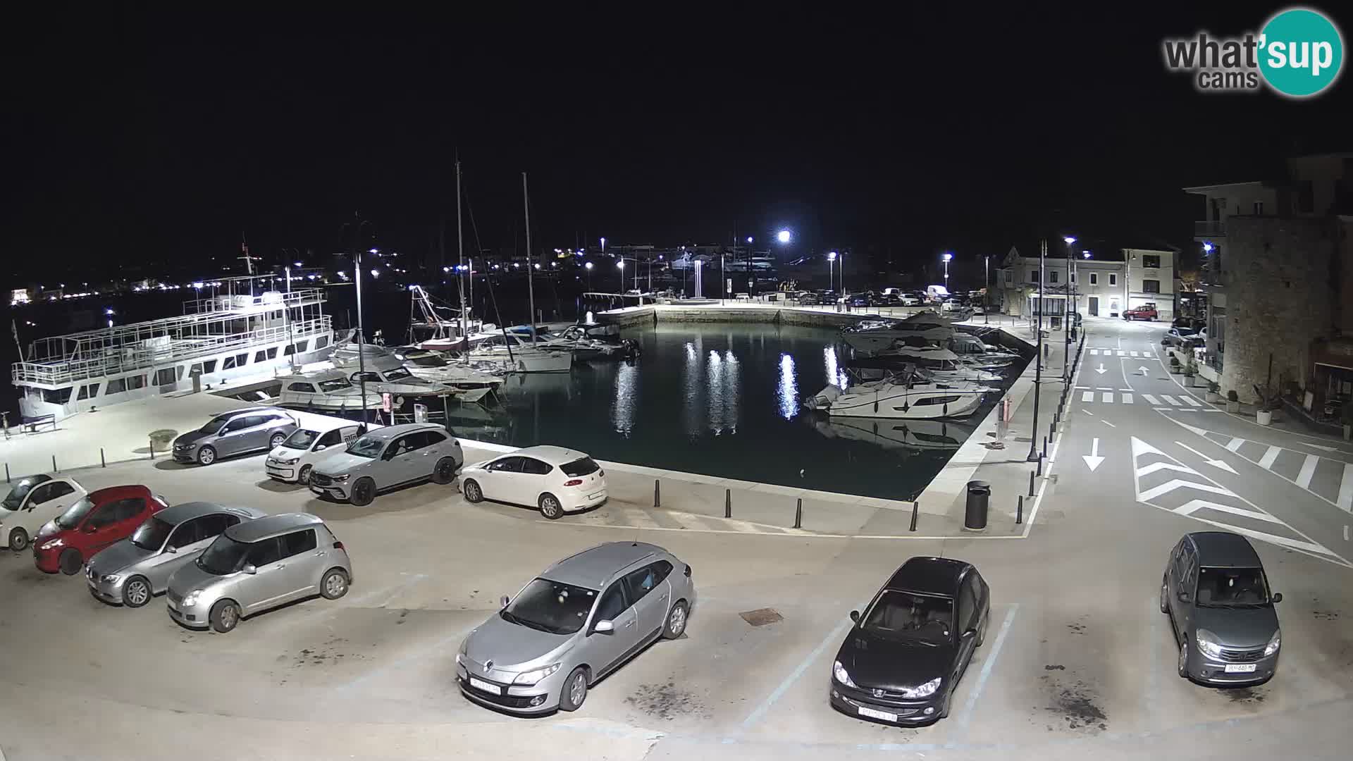 Novigrad | Porporela marina
