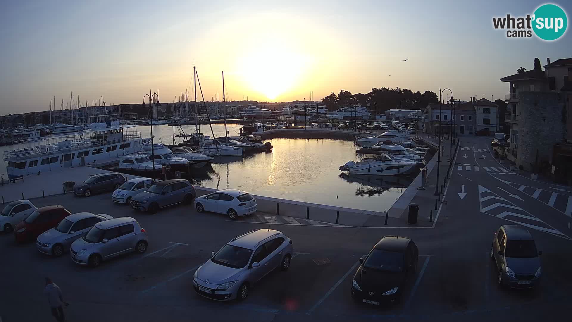 Novigrad | Porporela marina