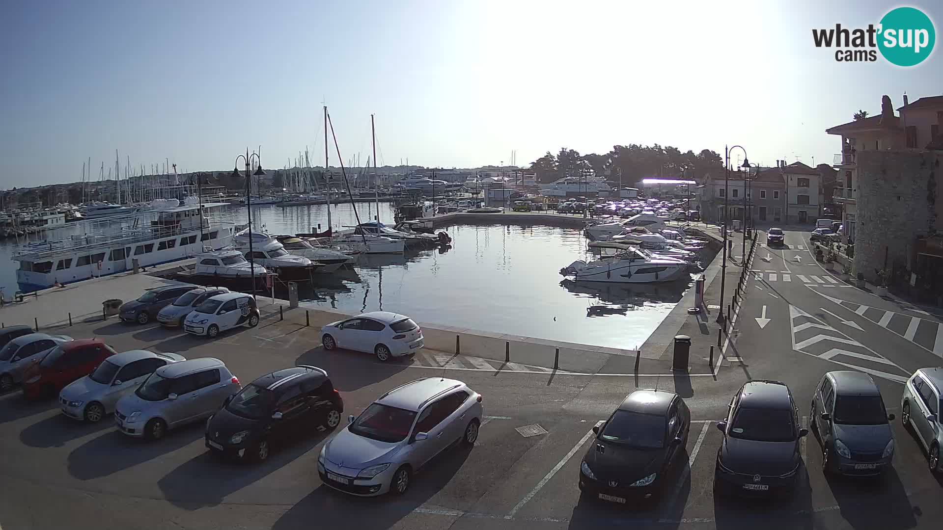 Novigrad | Porporela marina