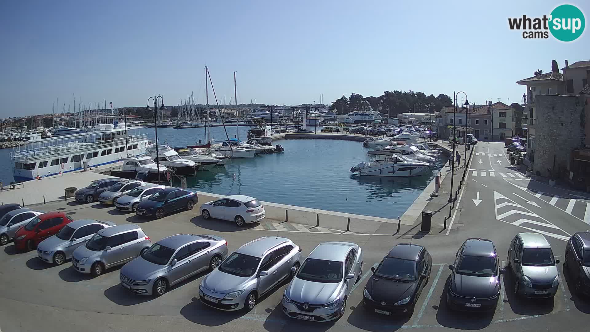 Novigrad | Porporela marina